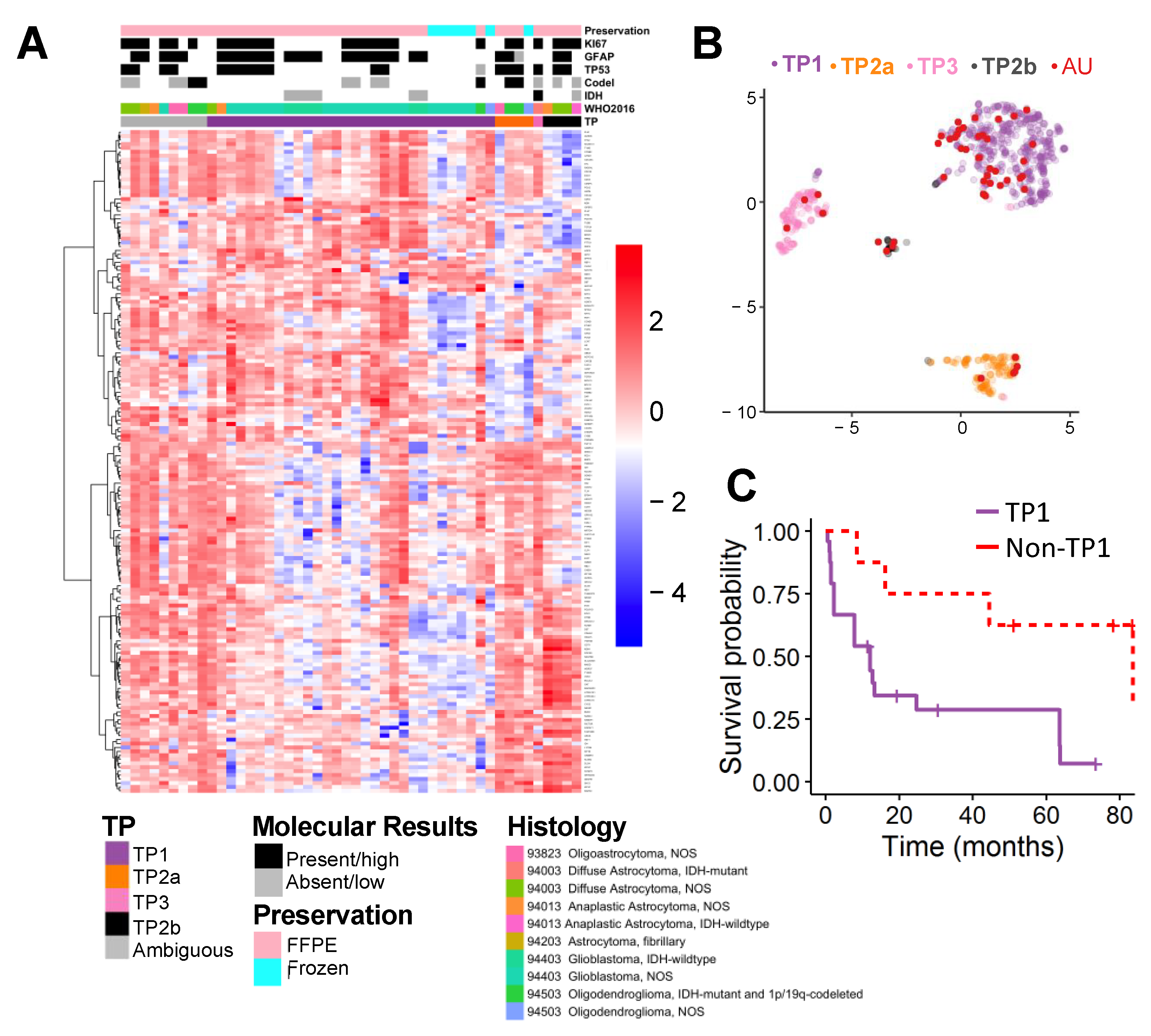 Cancers 13 00439 g003 Cancers 13 00439 g003