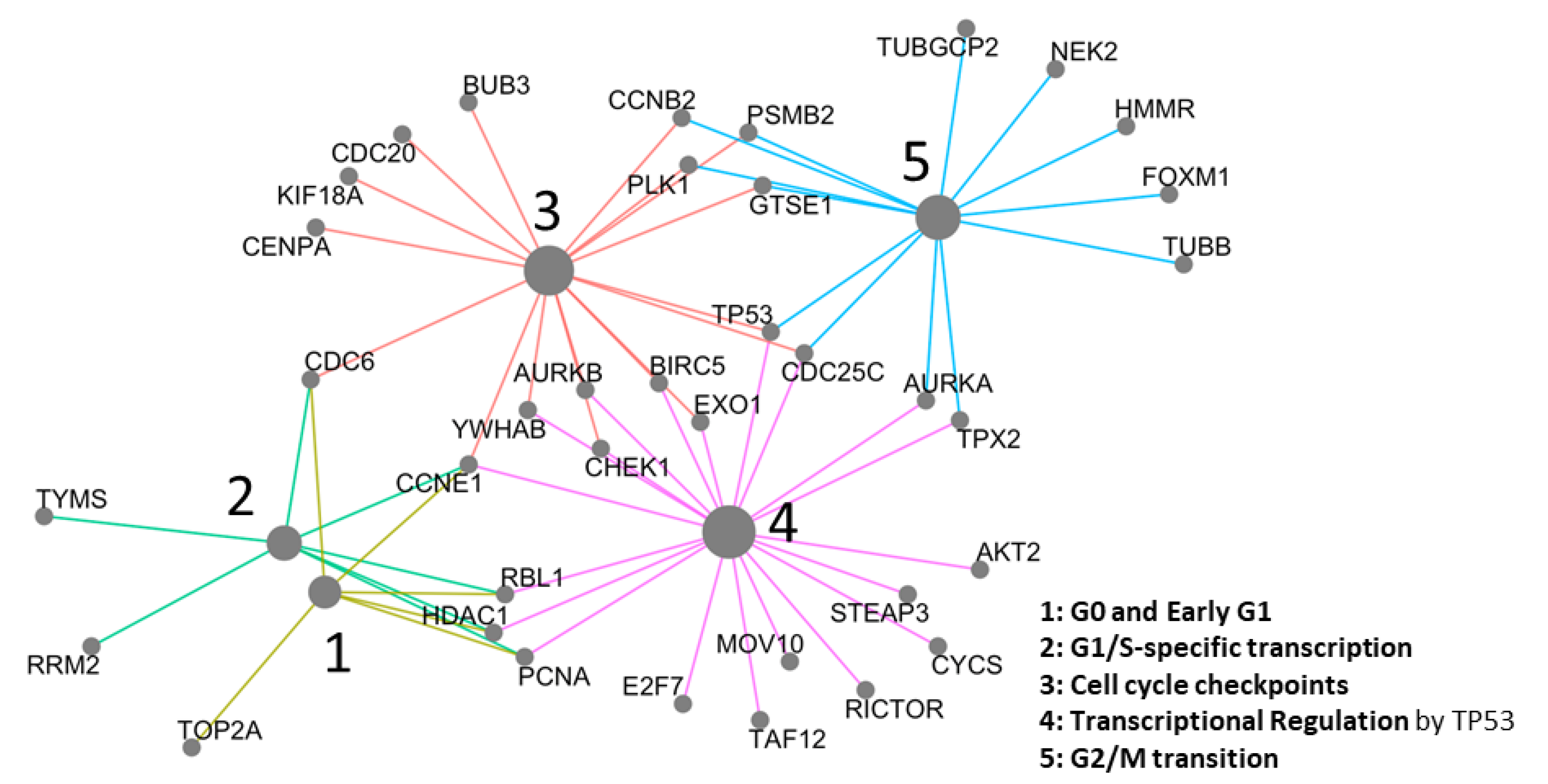 Cancers 13 00439 g004 Cancers 13 00439 g004
