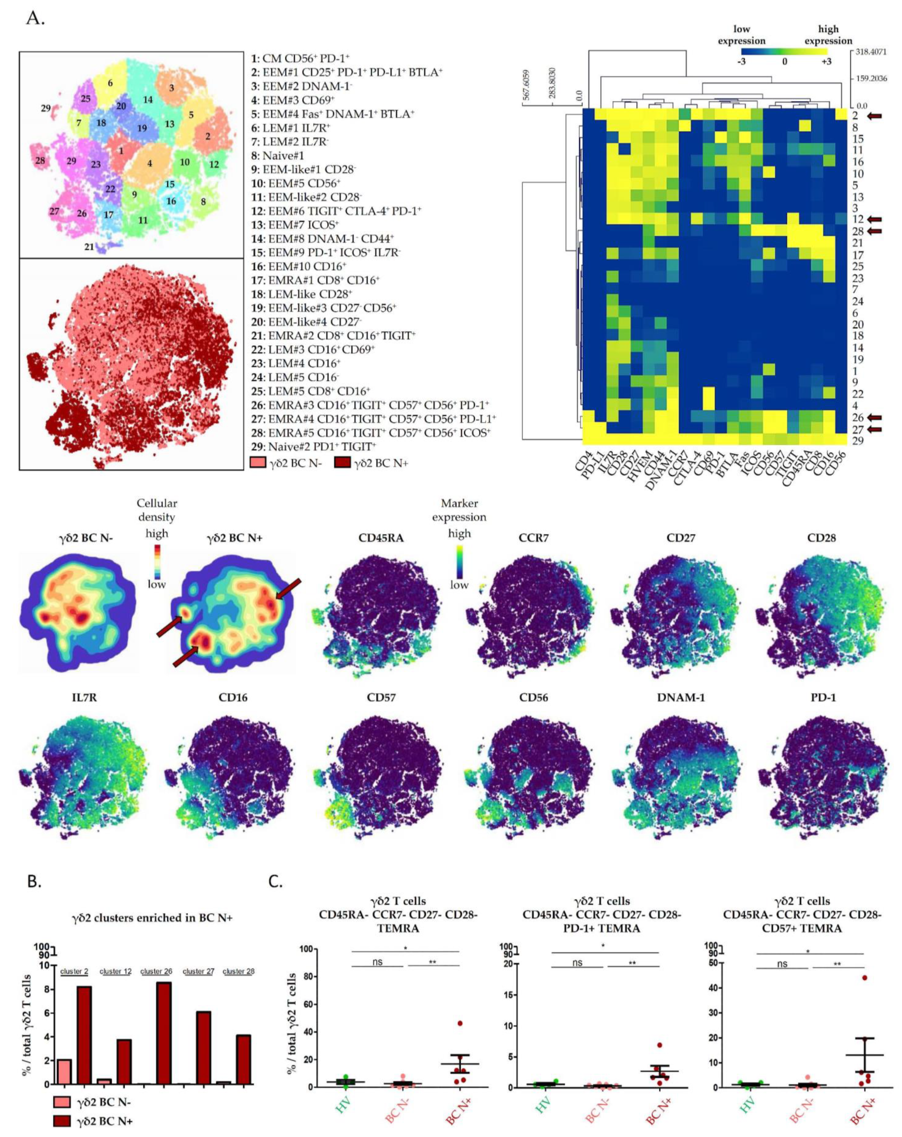 Cancers 13 00441 g003