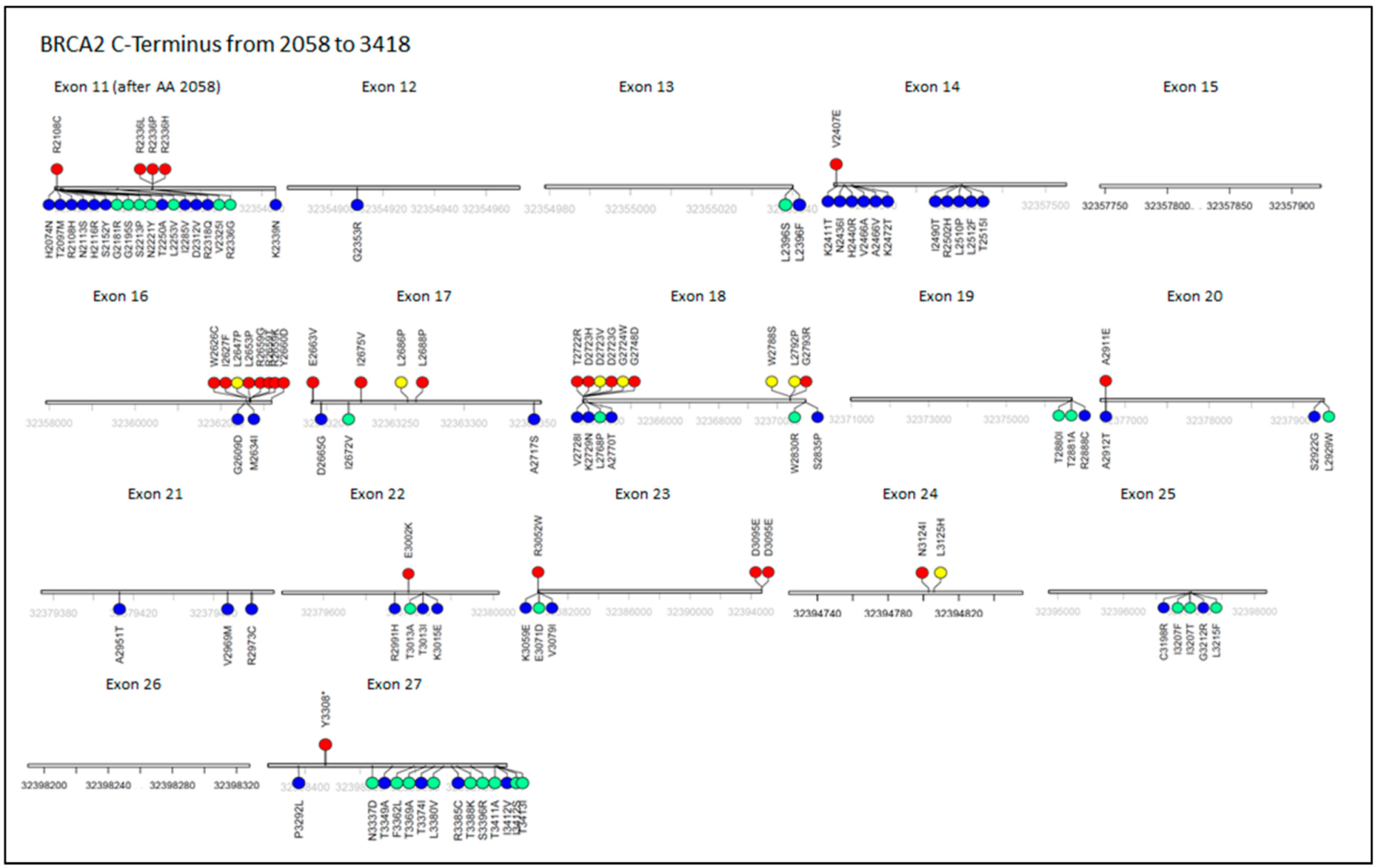 Cancers 13 00447 g002