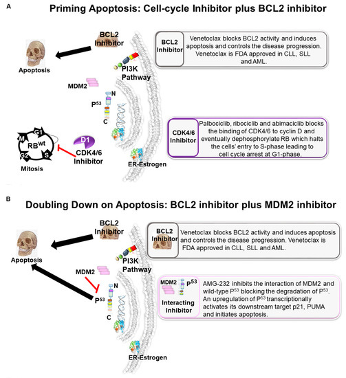 f. Pre-Owned 2023 Kawasaki Vulcan 900 Classic in Sioux Falls