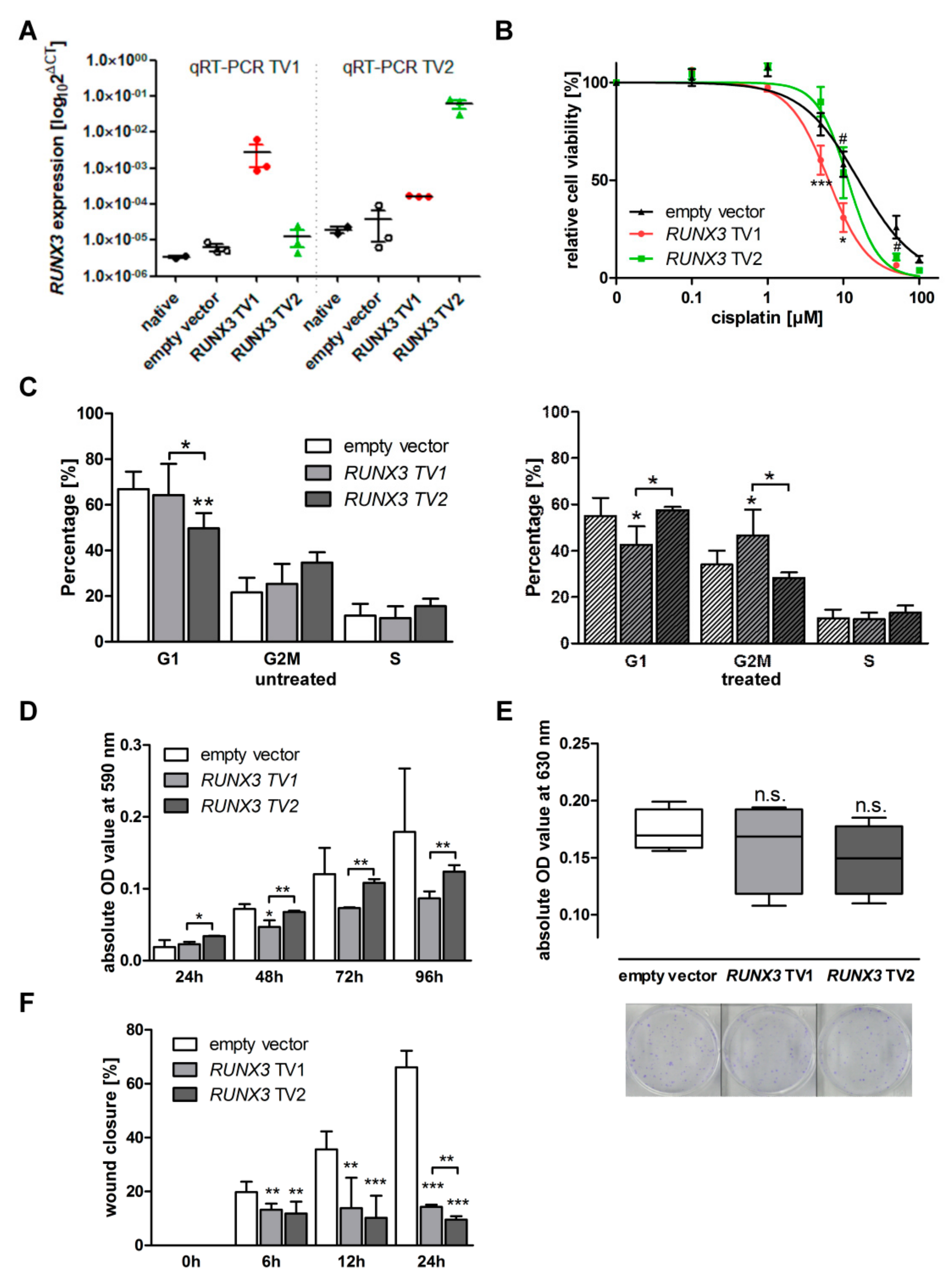 Cancers 13 00476 g001 Cancers 13 00476 g001