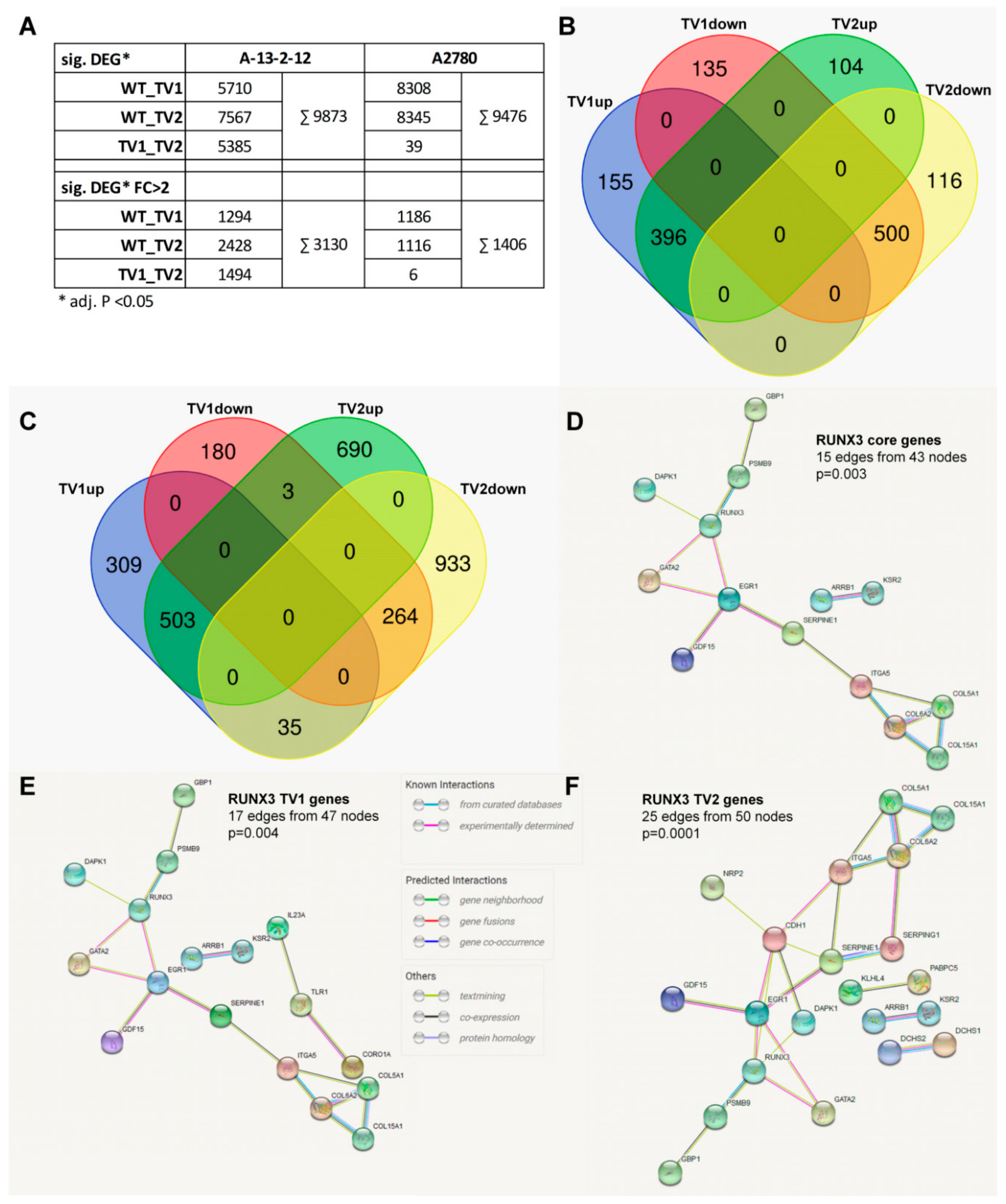 Cancers 13 00476 g004 Cancers 13 00476 g004