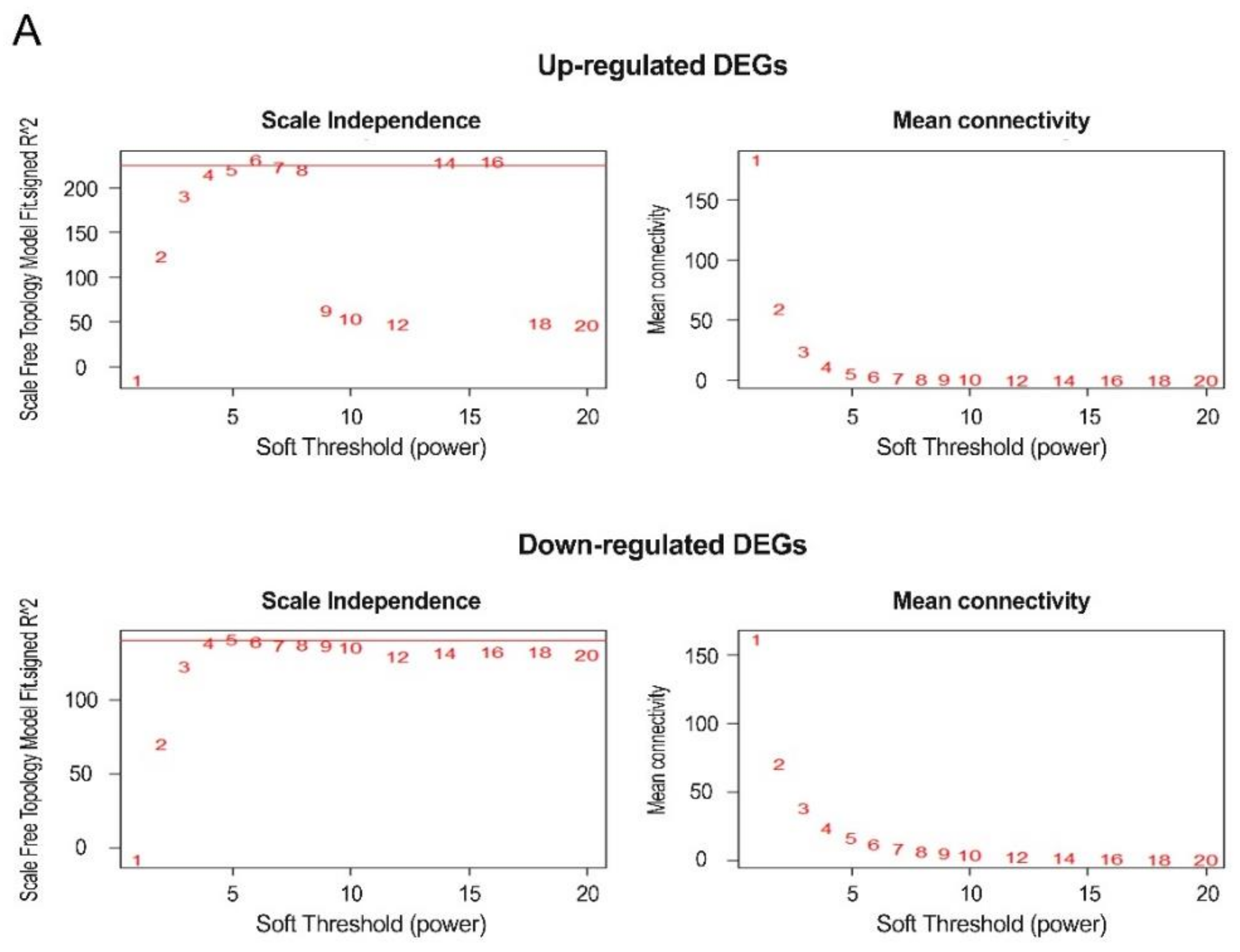 Cancers 13 00478 i001