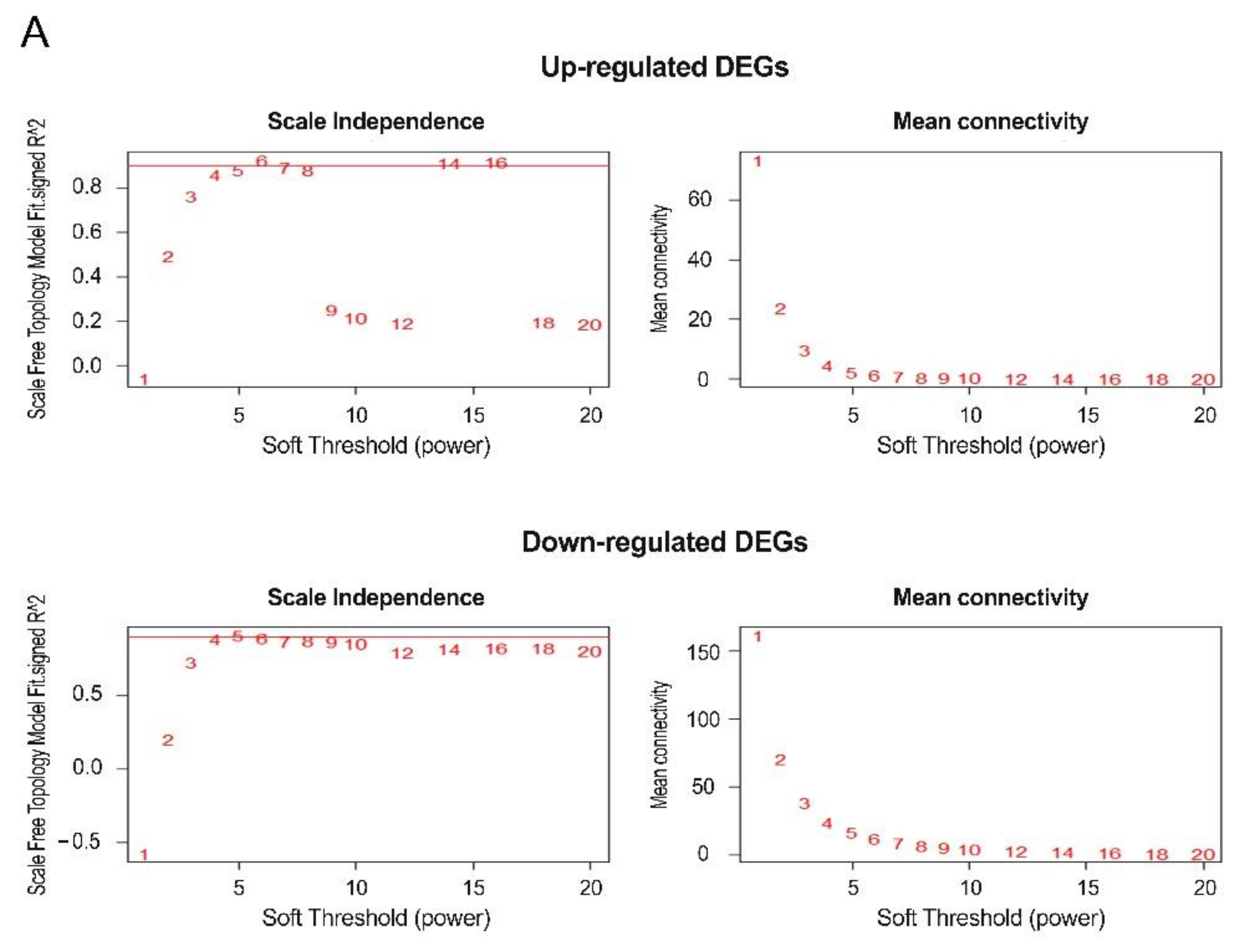 Cancers 13 00478 i002