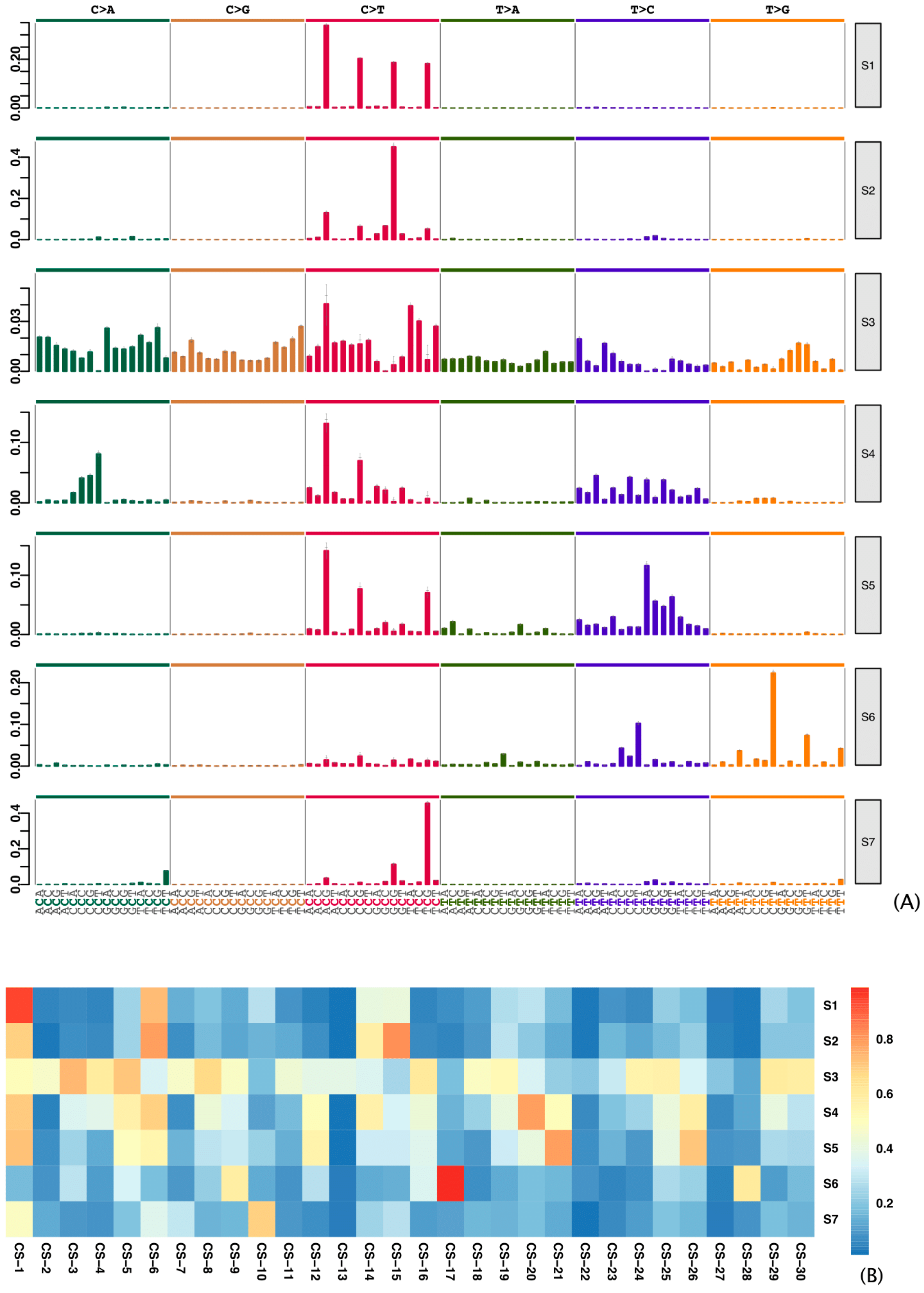 Cancers 13 00490 g001 Cancers 13 00490 g001