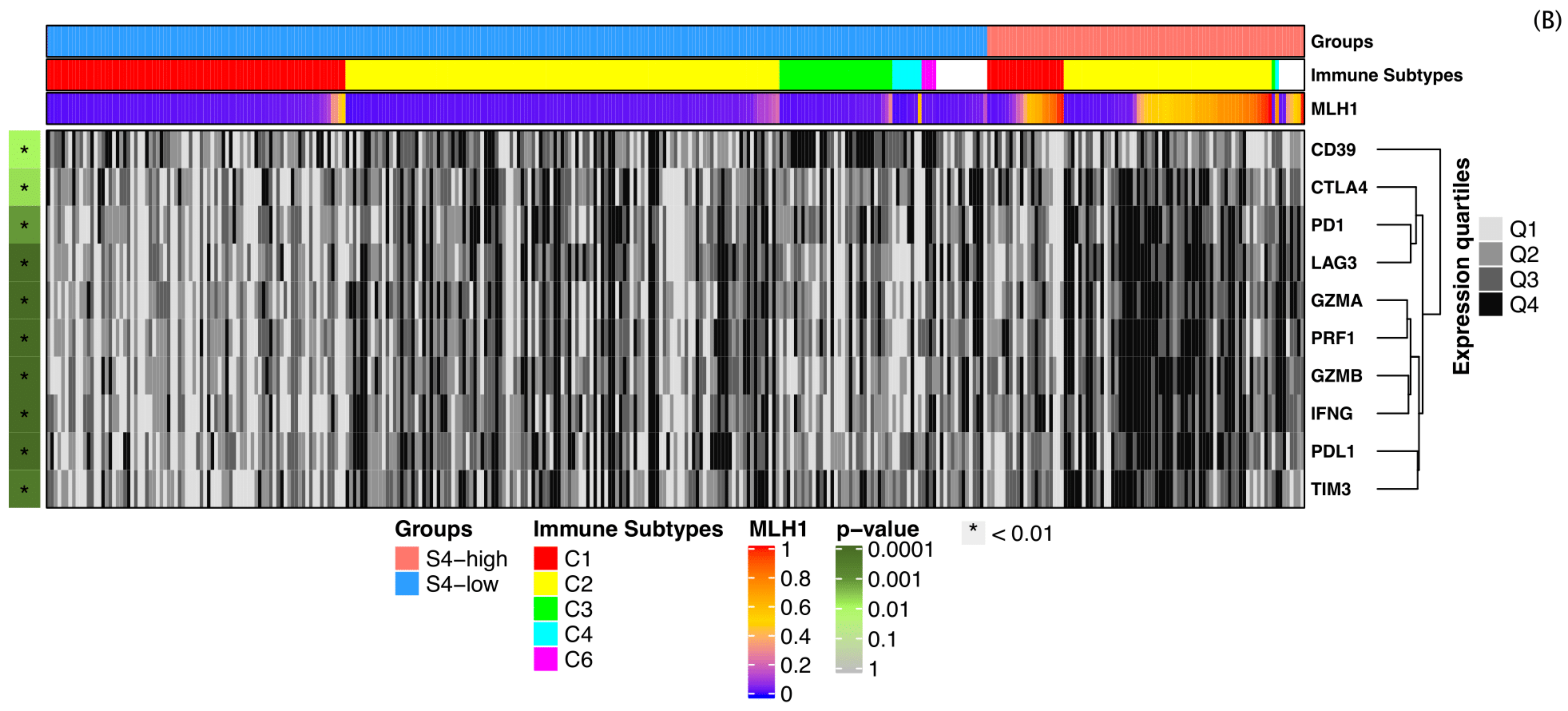Cancers 13 00490 g006b Cancers 13 00490 g006b