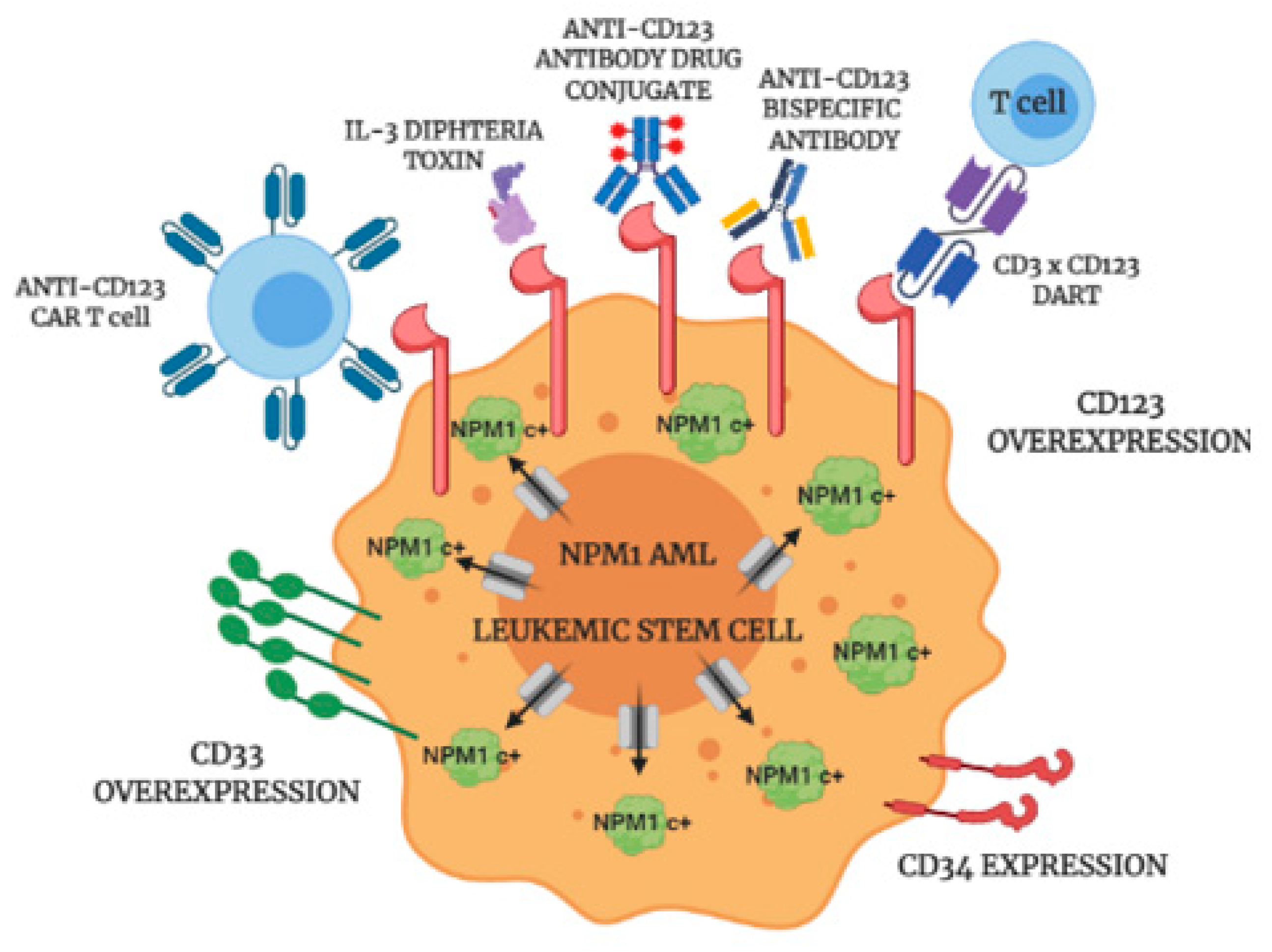 Cancers 13 00496 g006 Cancers 13 00496 g006