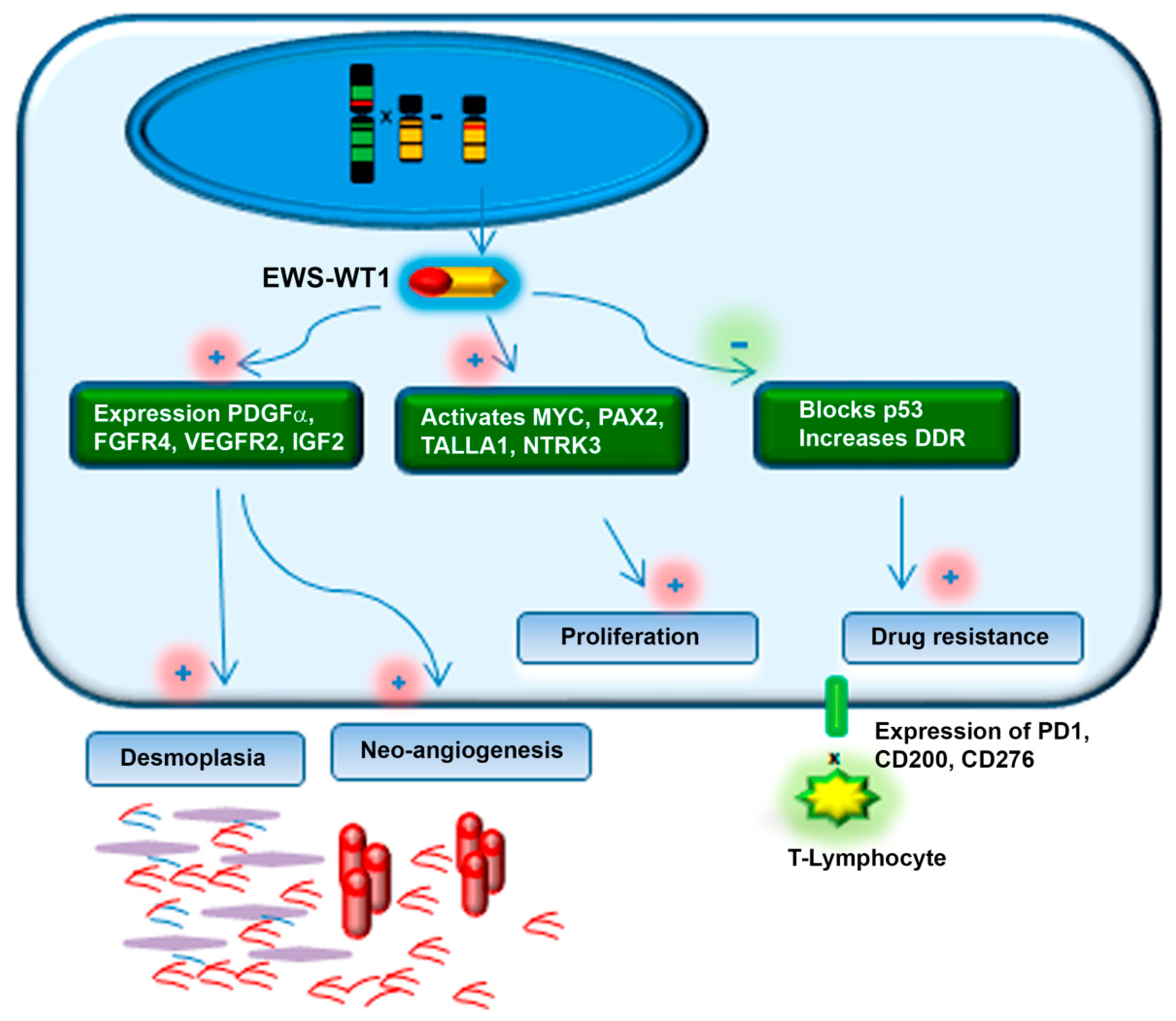 Cancers 13 00498 g002 Cancers 13 00498 g002