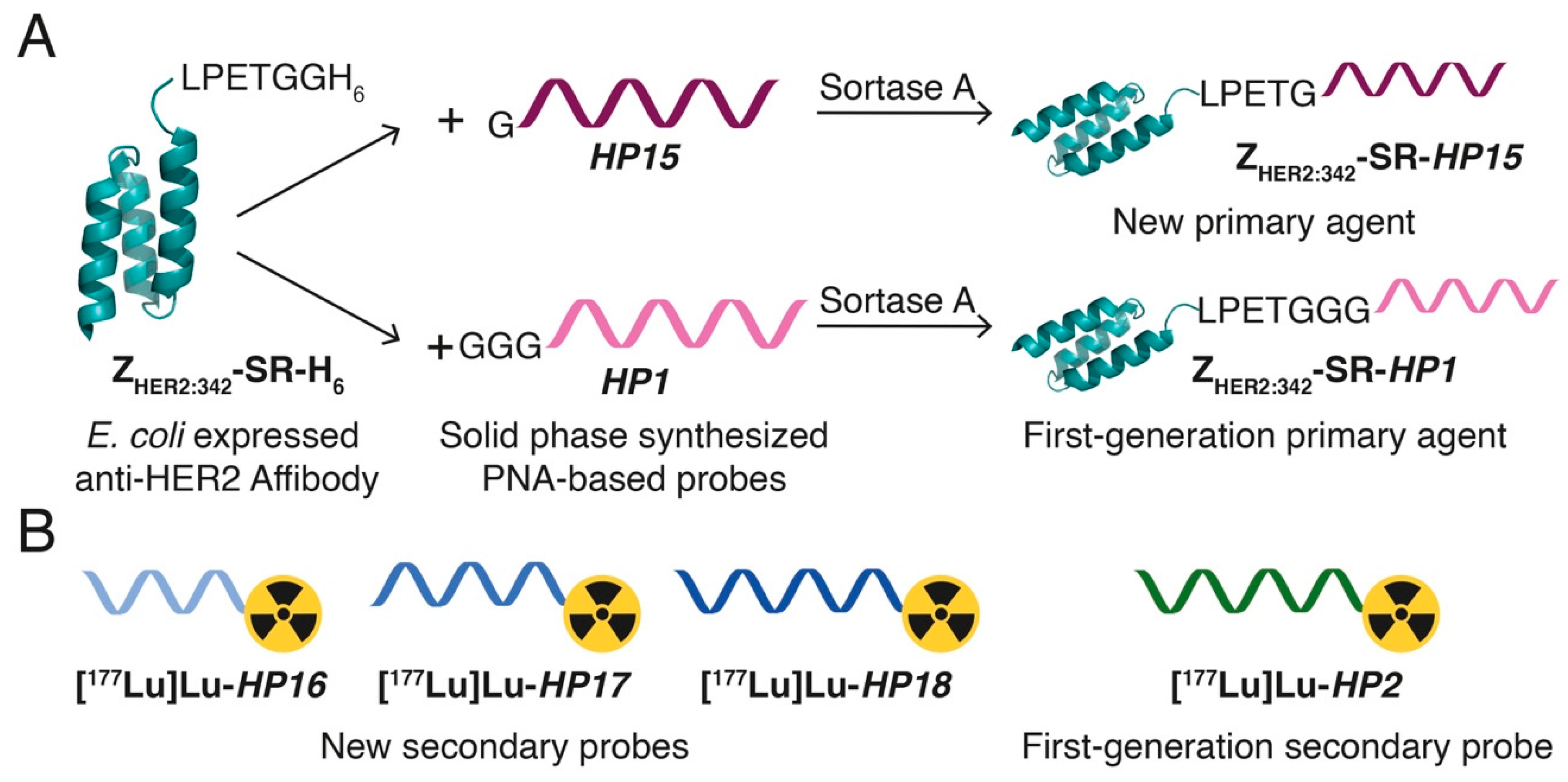 Cancers 13 00500 g001