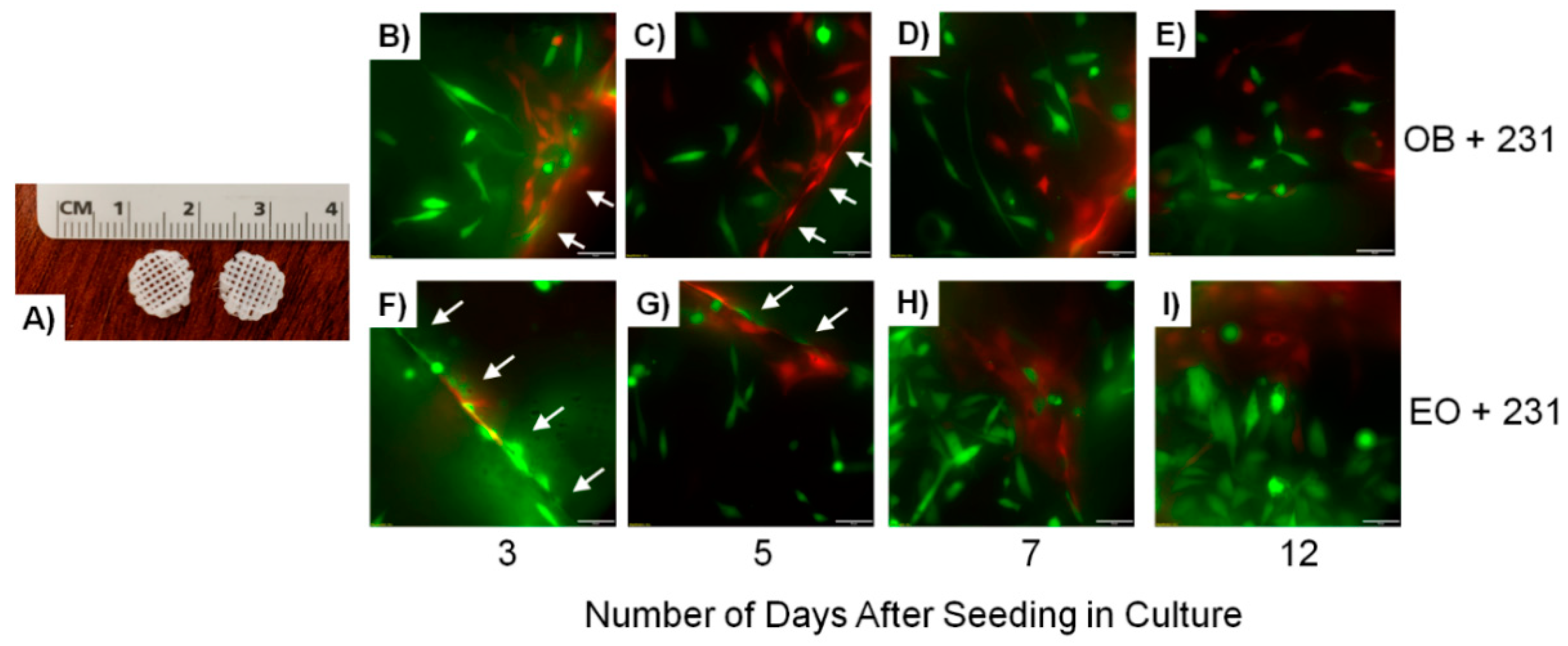Cancers 13 00507 g001 Cancers 13 00507 g001