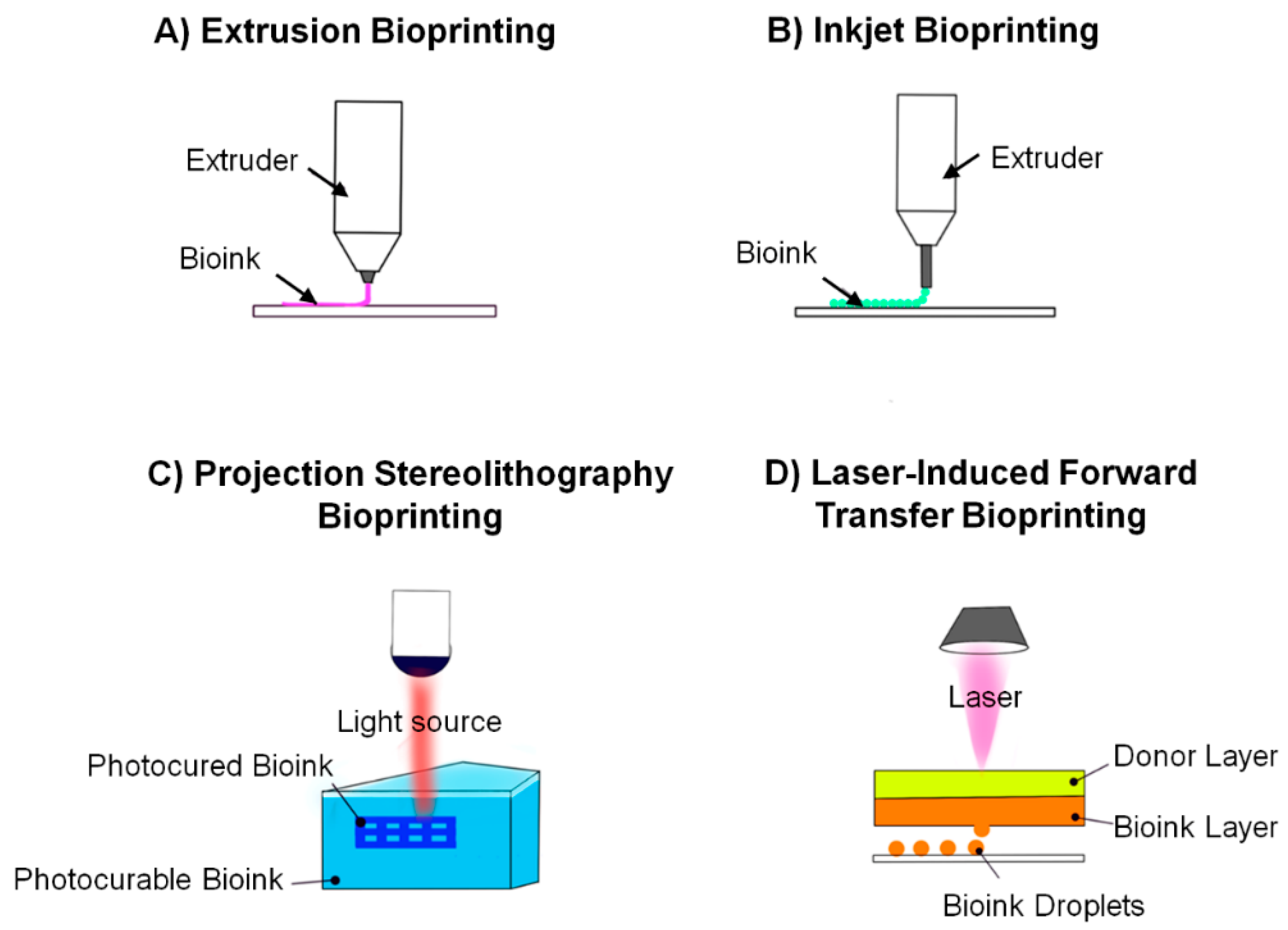 Cancers 13 00507 g003 Cancers 13 00507 g003