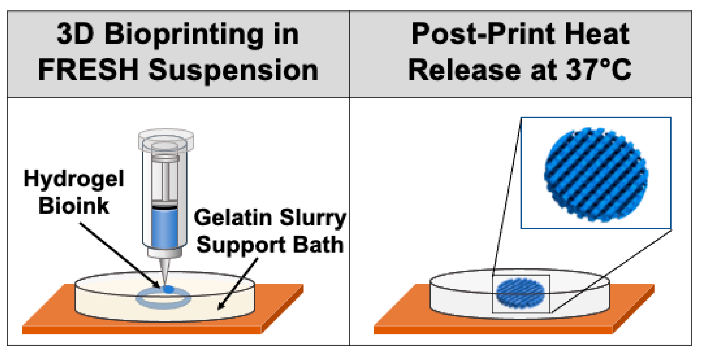 Cancers 13 00507 g004 Cancers 13 00507 g004