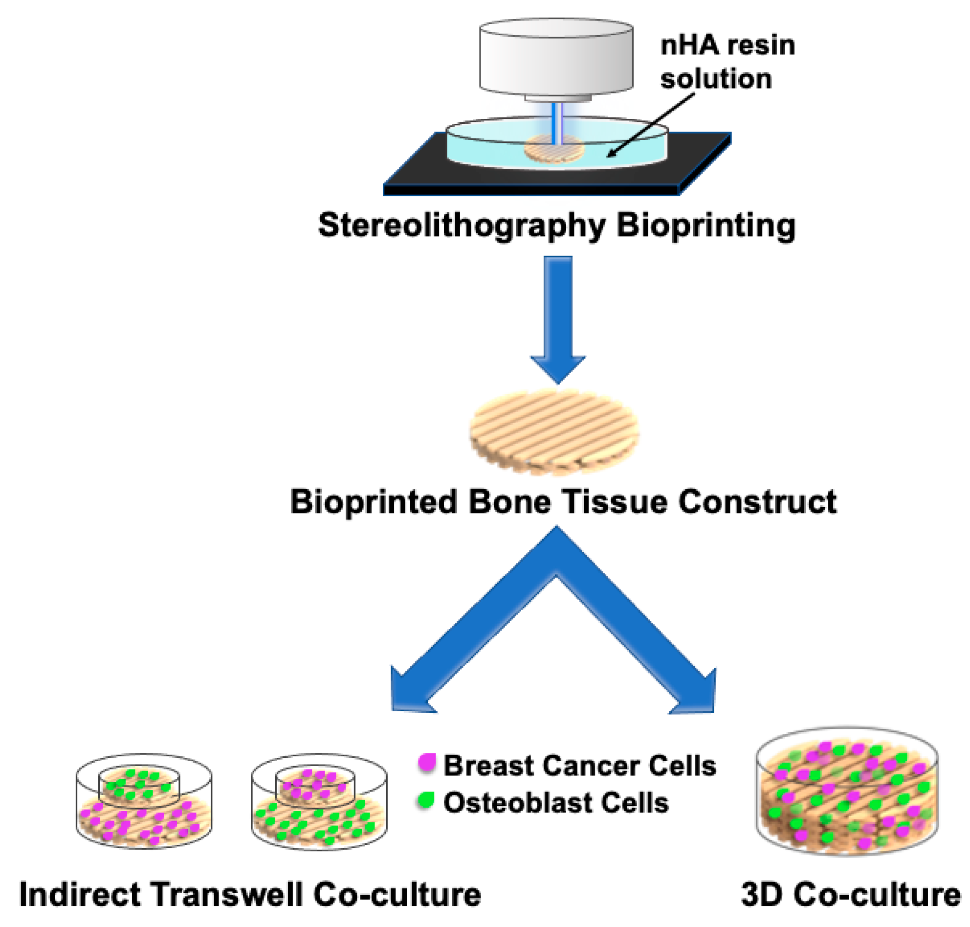 Cancers 13 00507 g005 Cancers 13 00507 g005