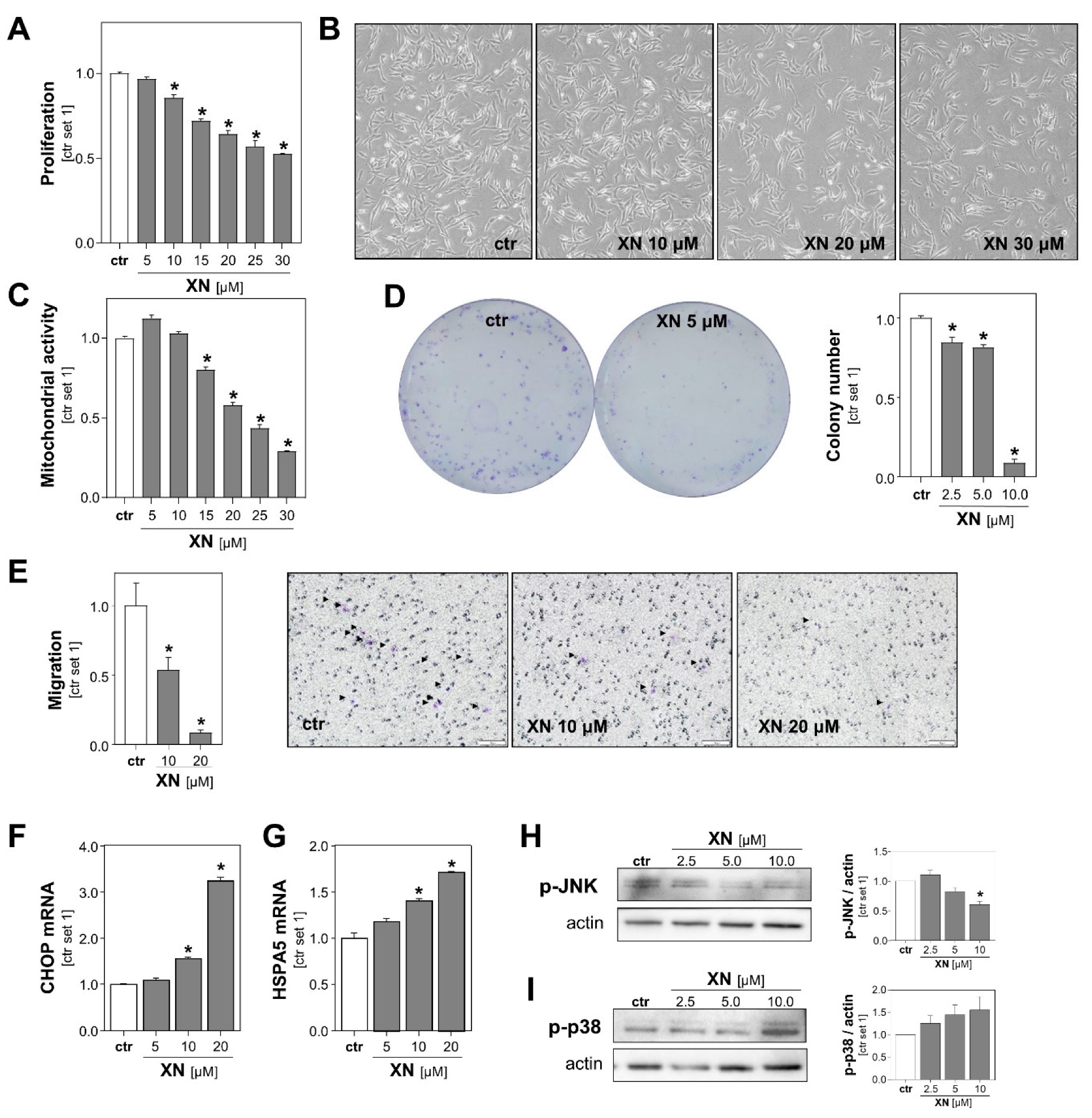 Cancers 13 00511 g002 Cancers 13 00511 g002