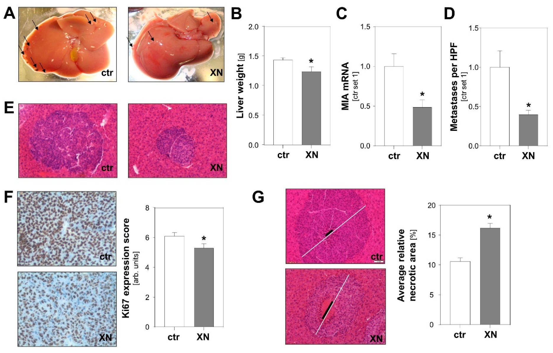 Cancers 13 00511 g003 Cancers 13 00511 g003