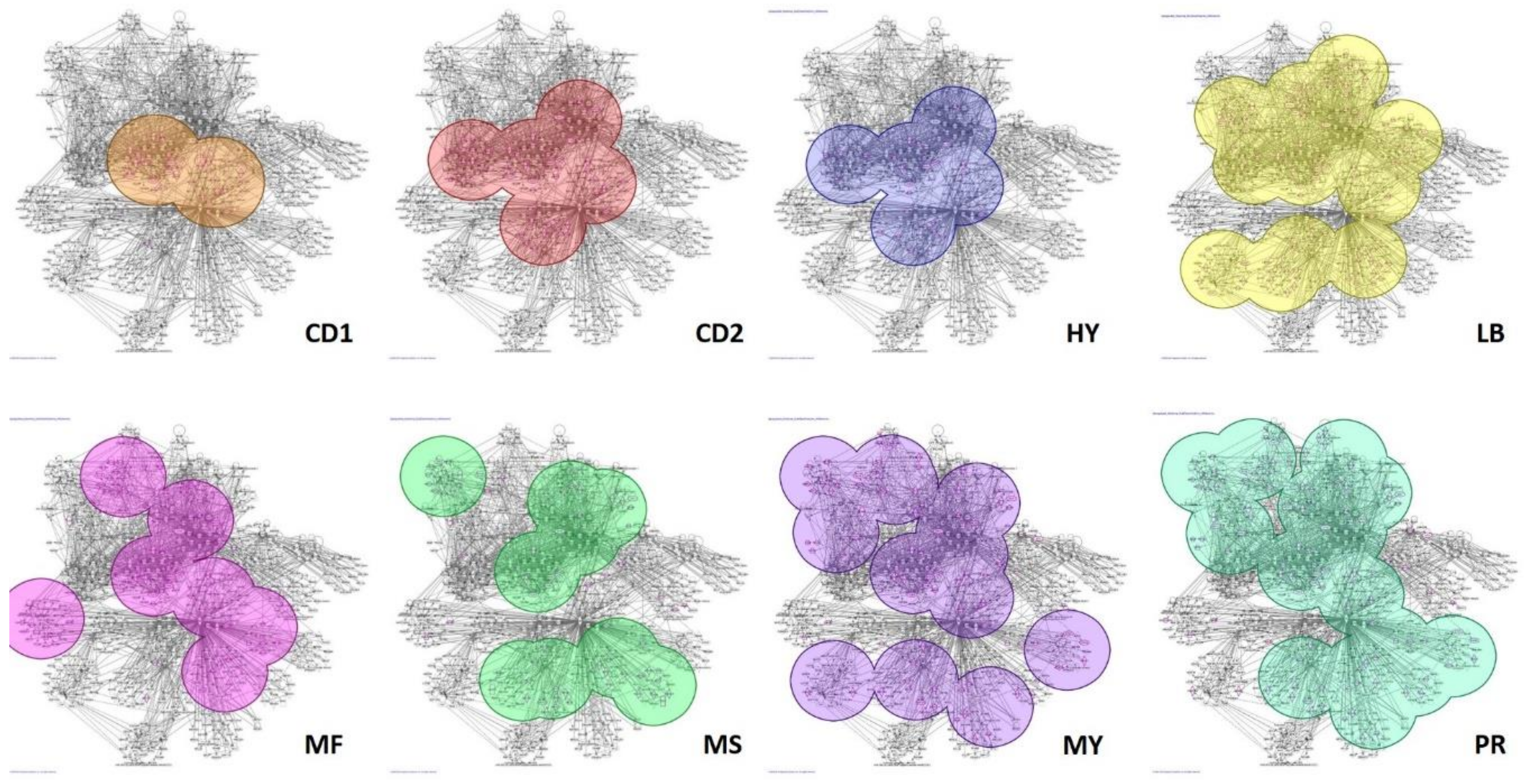 Cancers 13 00517 g004