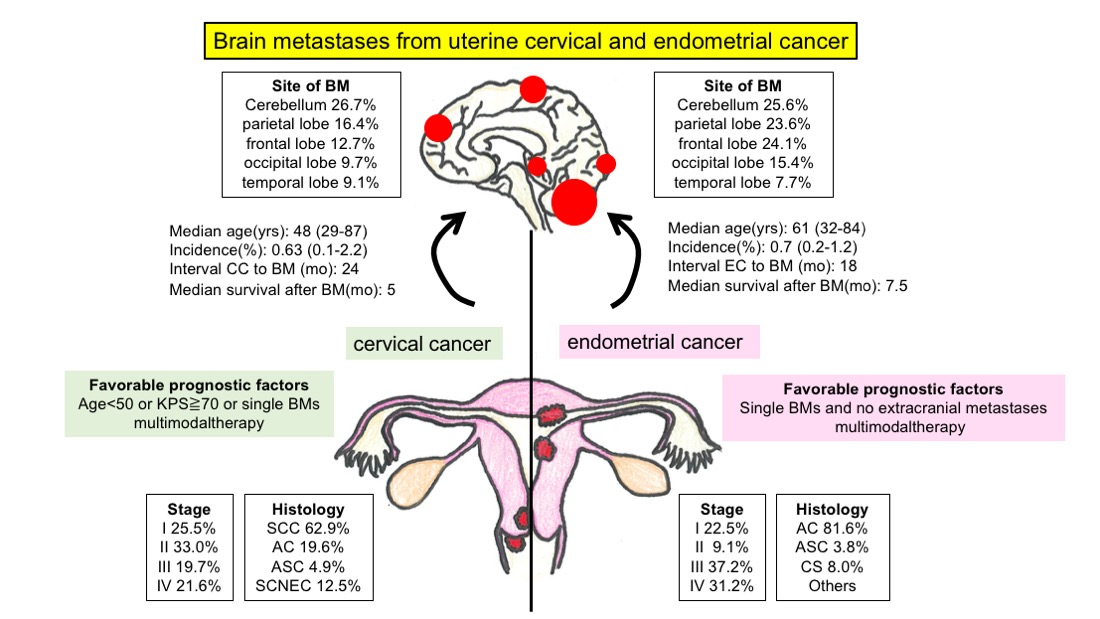 Cancers Free Full Text Brain Metastases From Uterine Cervical And cancers-free-full-text-brain-metastases-from-uterine-cervical-and