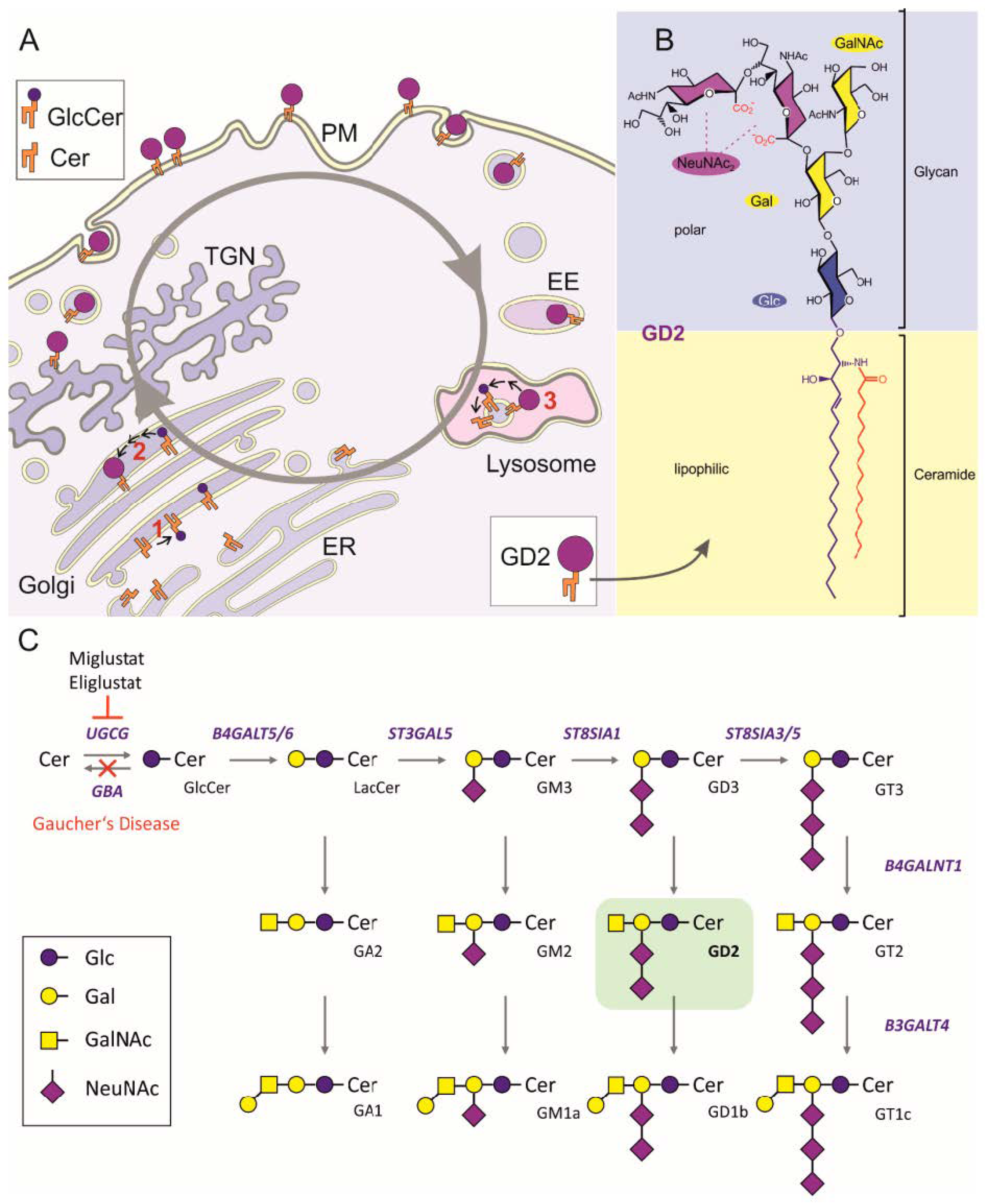 Cancers 13 00520 g001 Cancers 13 00520 g001