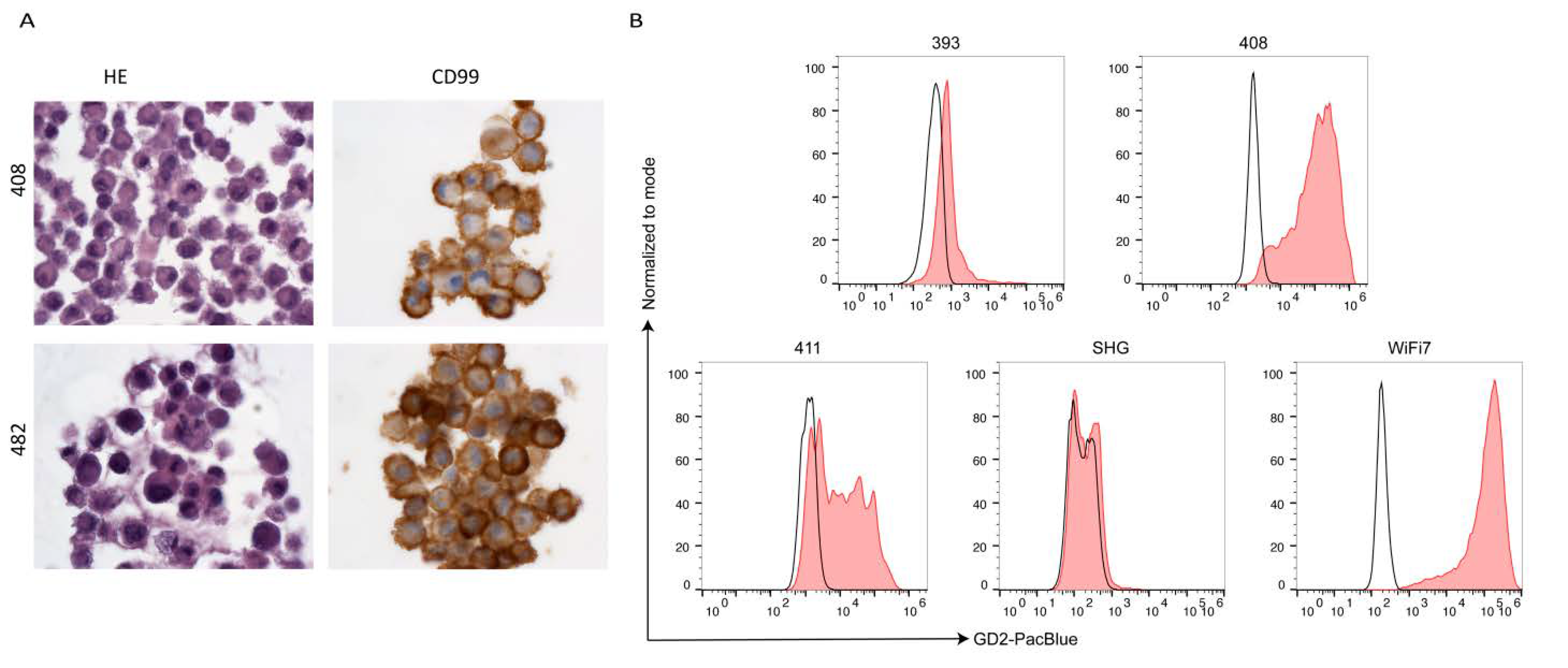 Cancers 13 00520 g004 Cancers 13 00520 g004