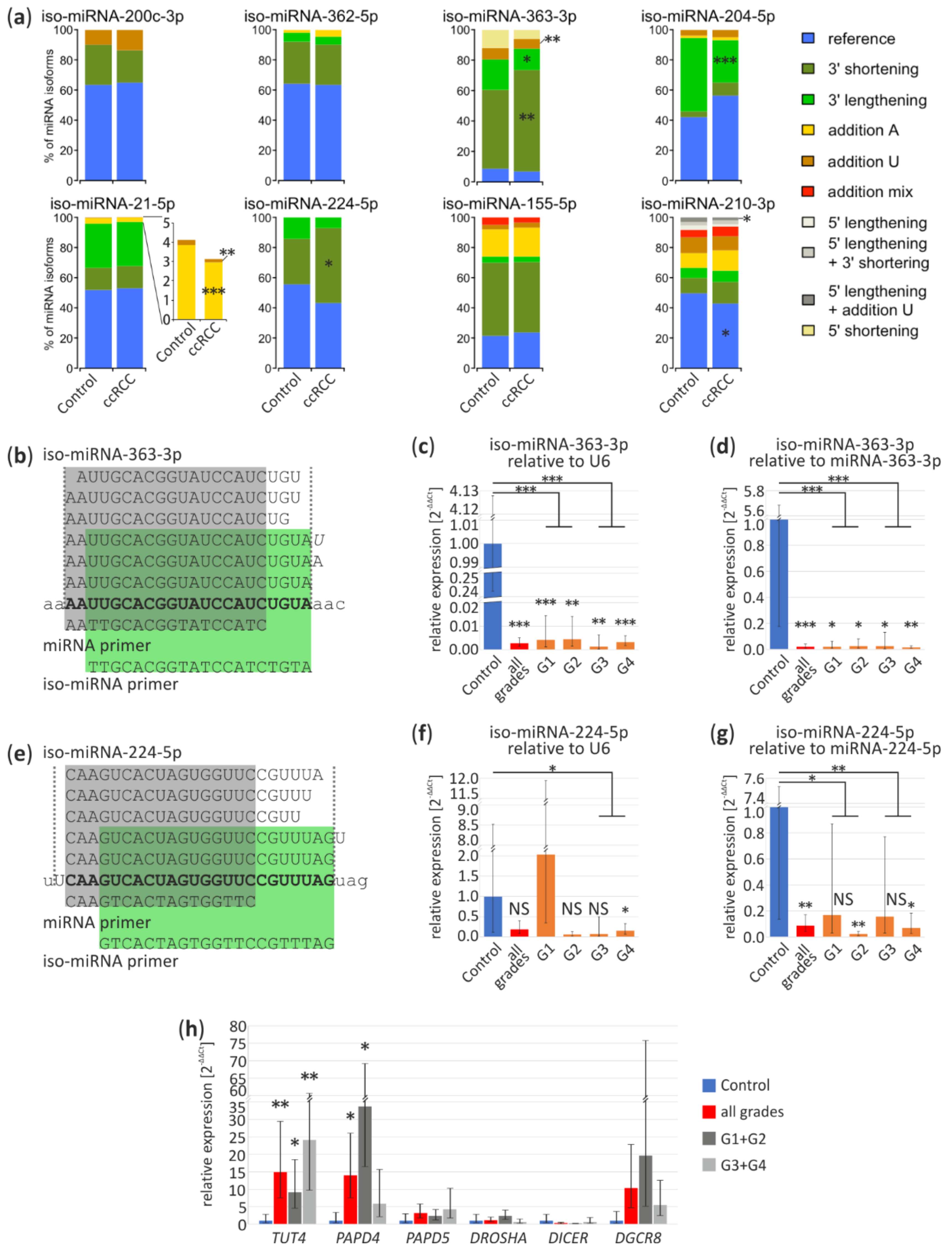 Cancers 13 00548 g004