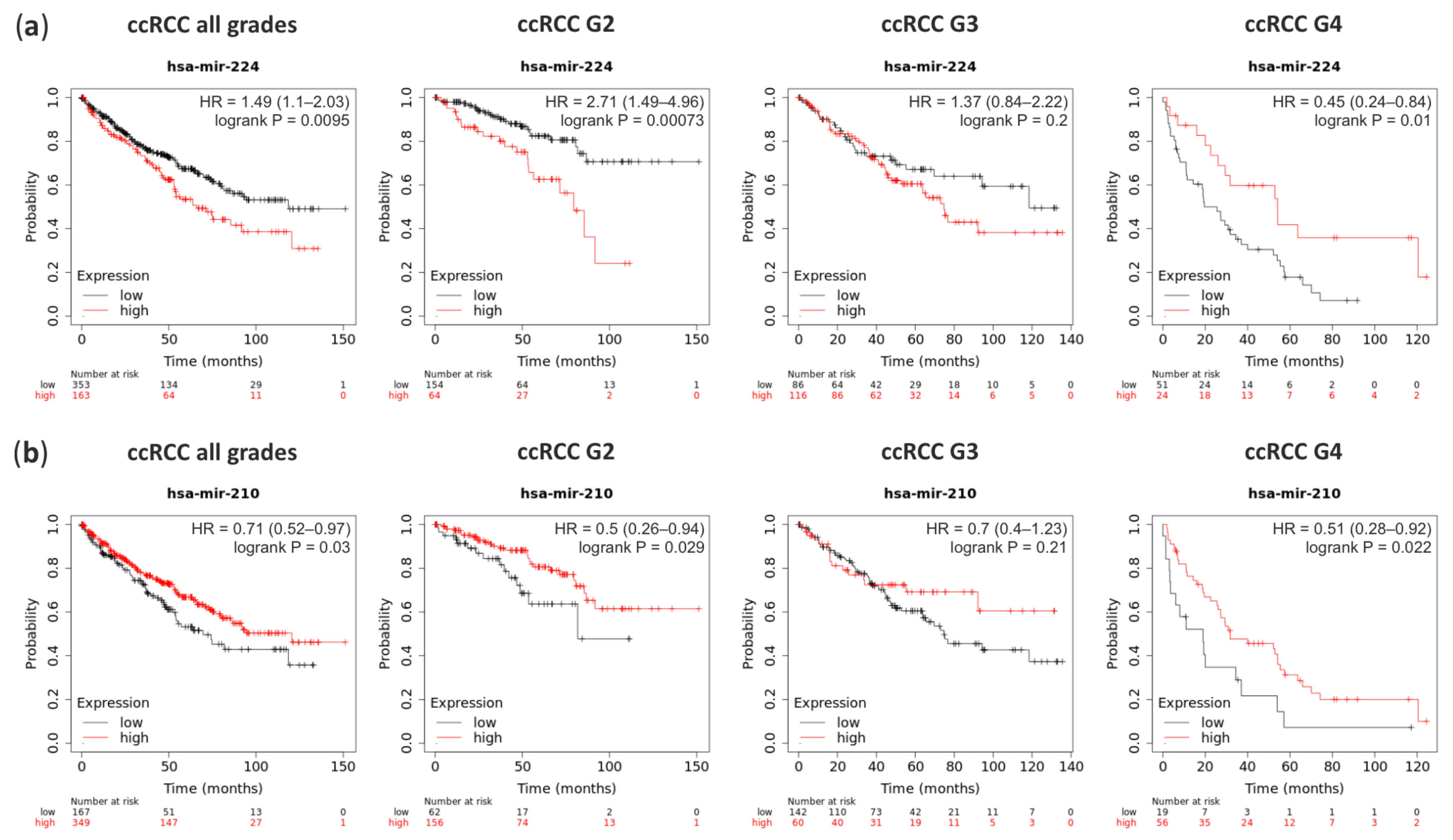 Cancers 13 00548 g005