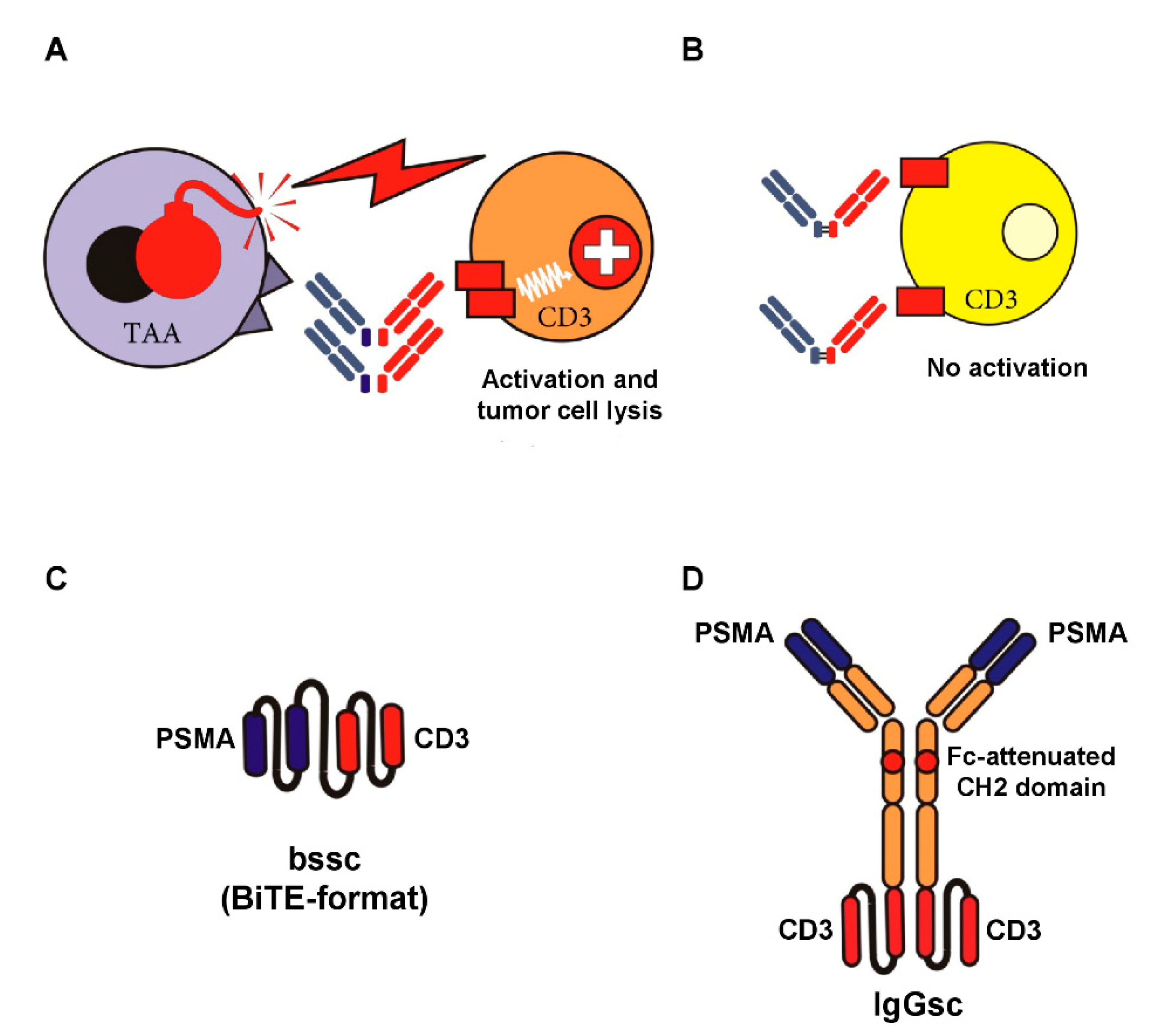 Cancers 13 00549 g001 Cancers 13 00549 g001