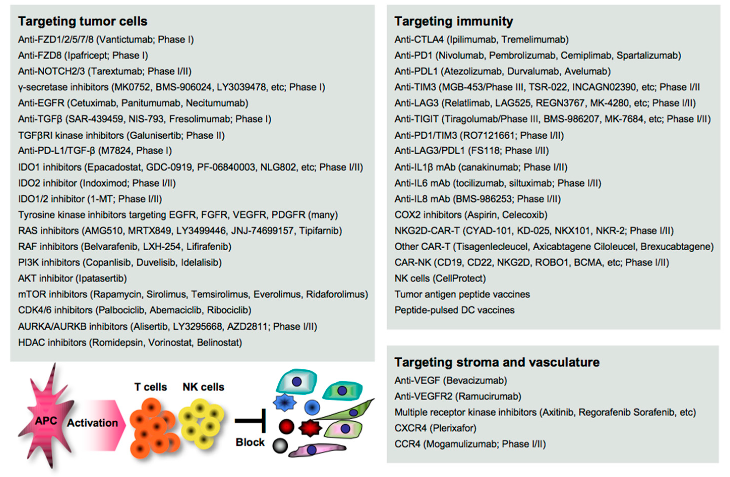 Cancers 13 00554 g003 Cancers 13 00554 g003