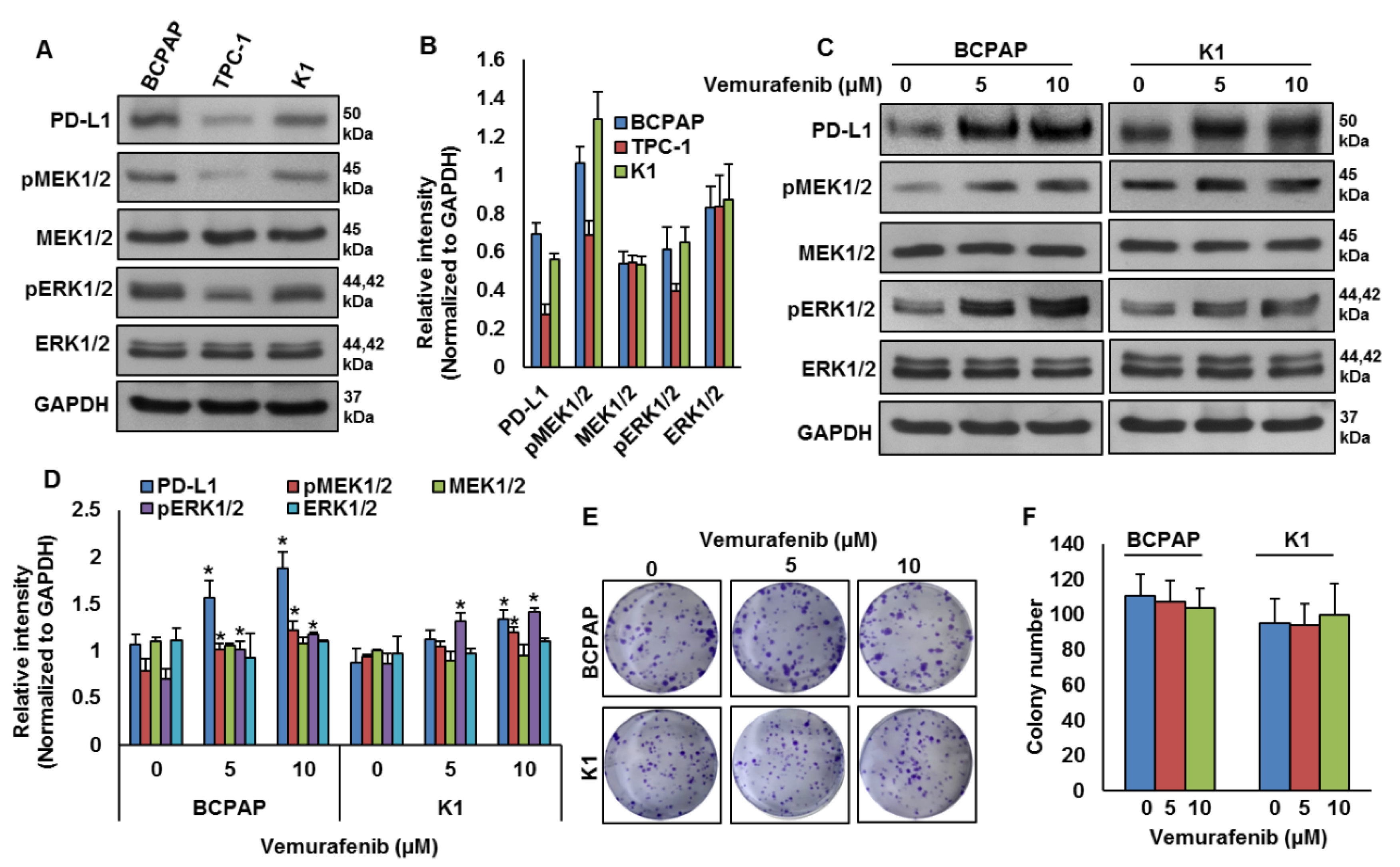 Cancers 13 00555 g003 Cancers 13 00555 g003