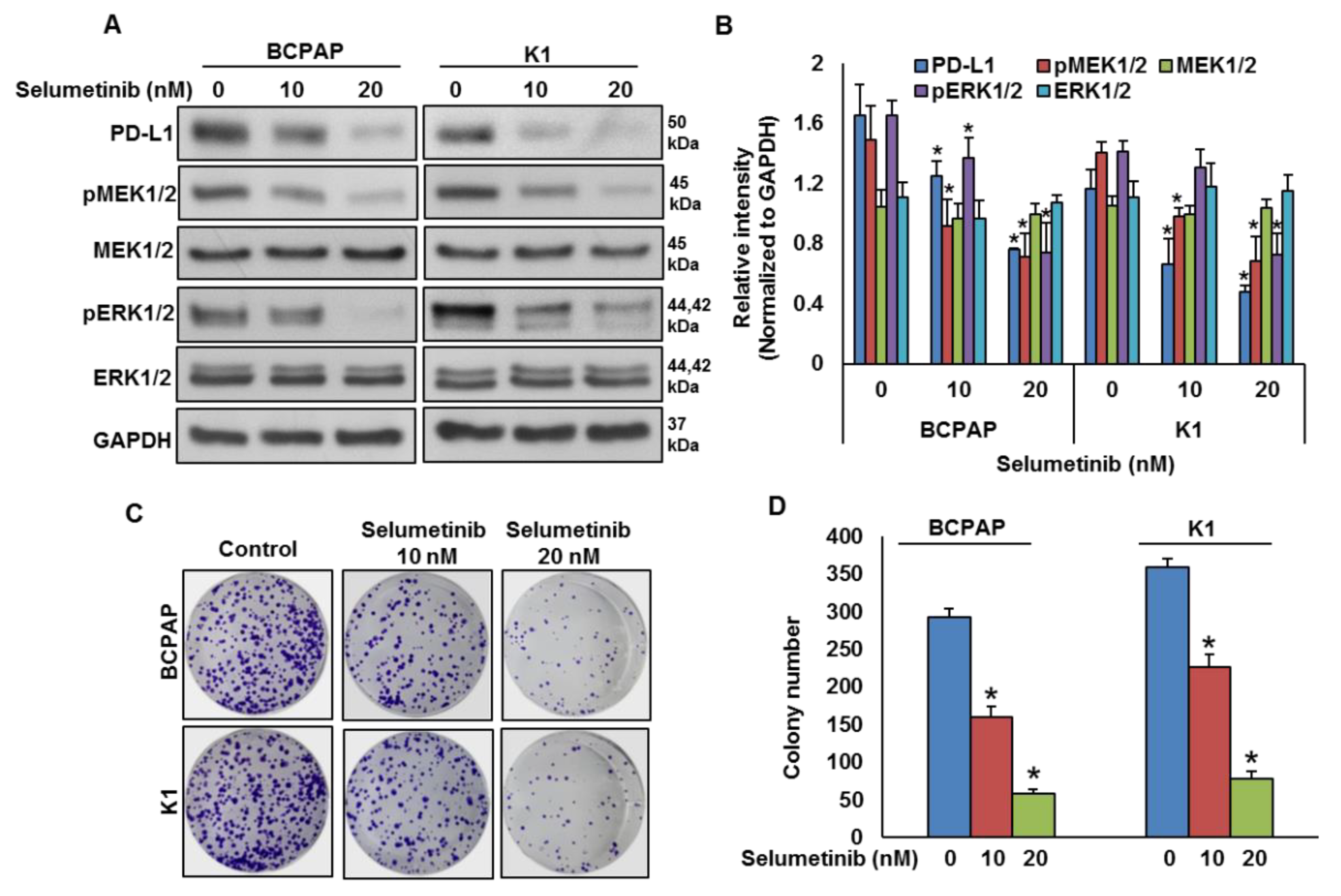Cancers 13 00555 g004 Cancers 13 00555 g004