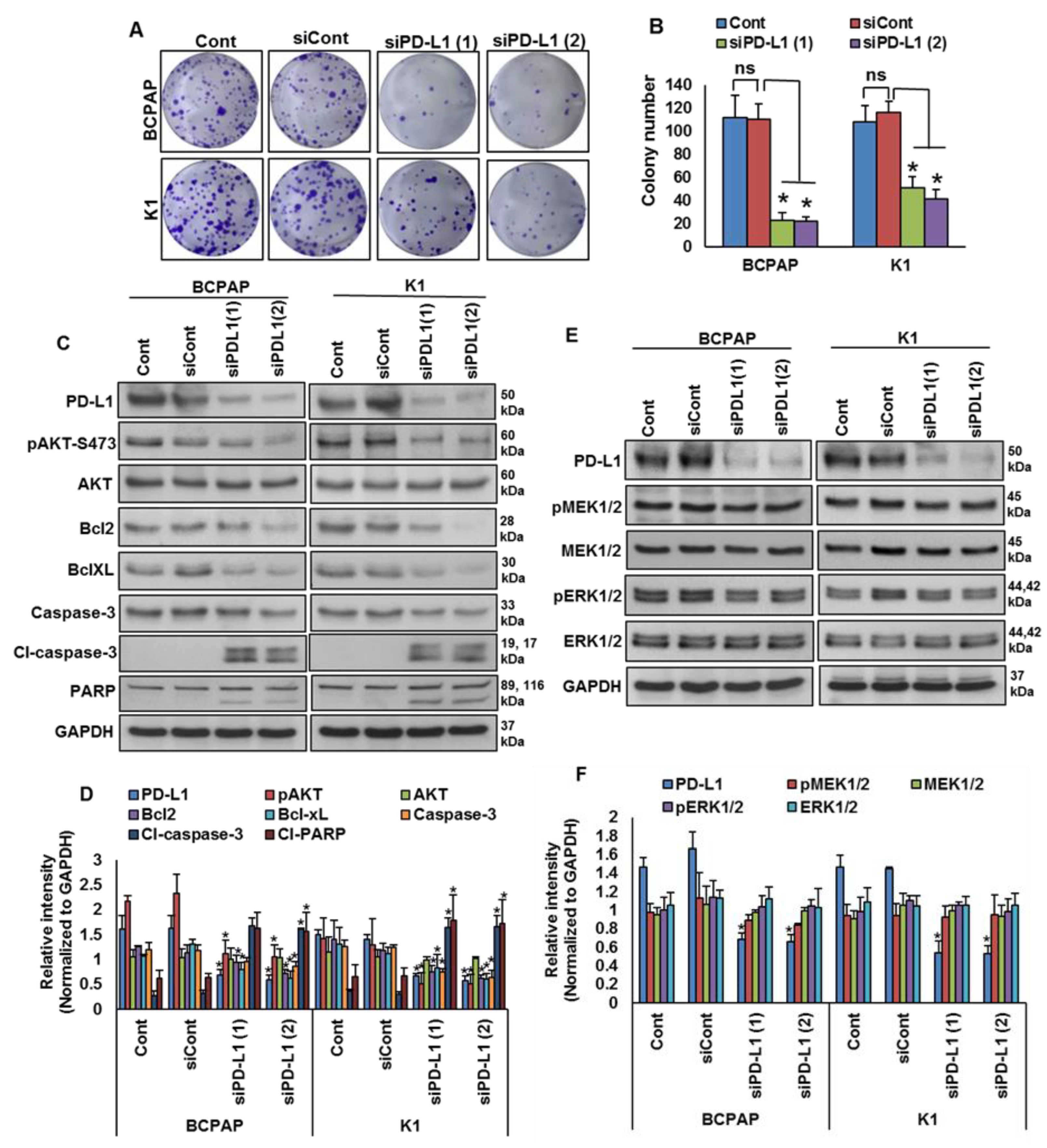 Cancers 13 00555 g005 Cancers 13 00555 g005