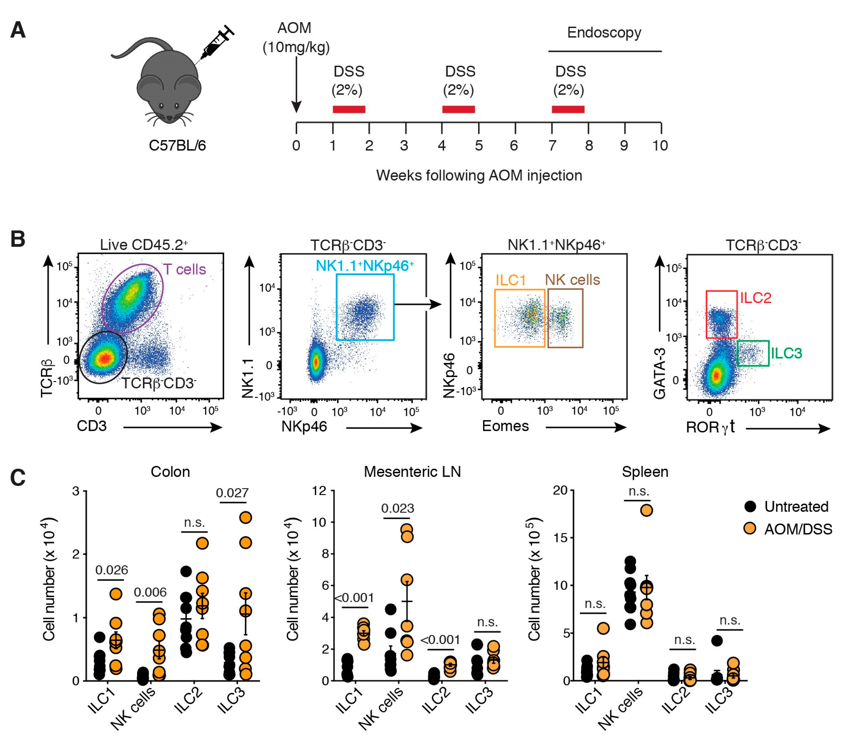 Cancers 13 00559 g001