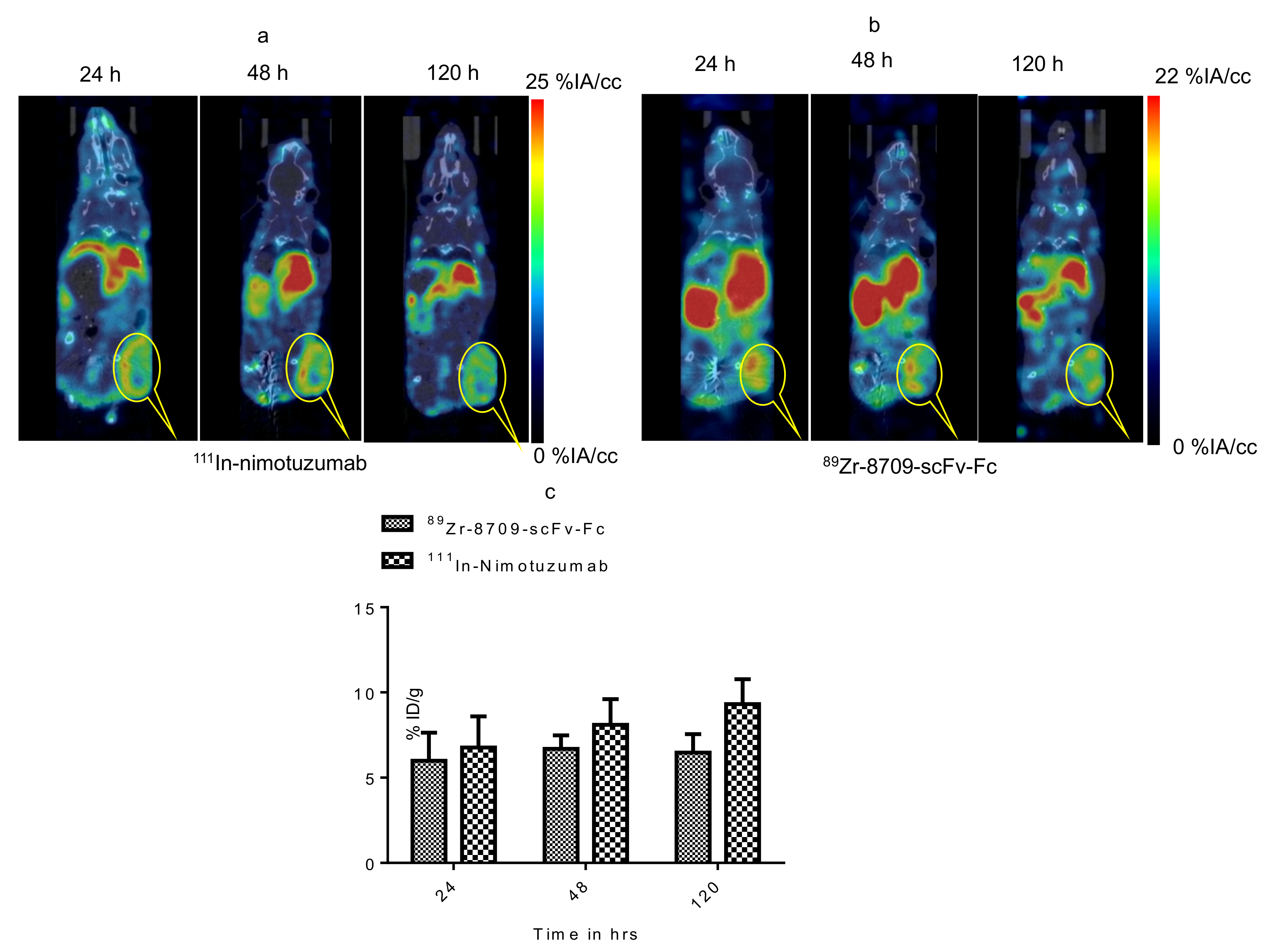 Cancers 13 00560 g006 Cancers 13 00560 g006