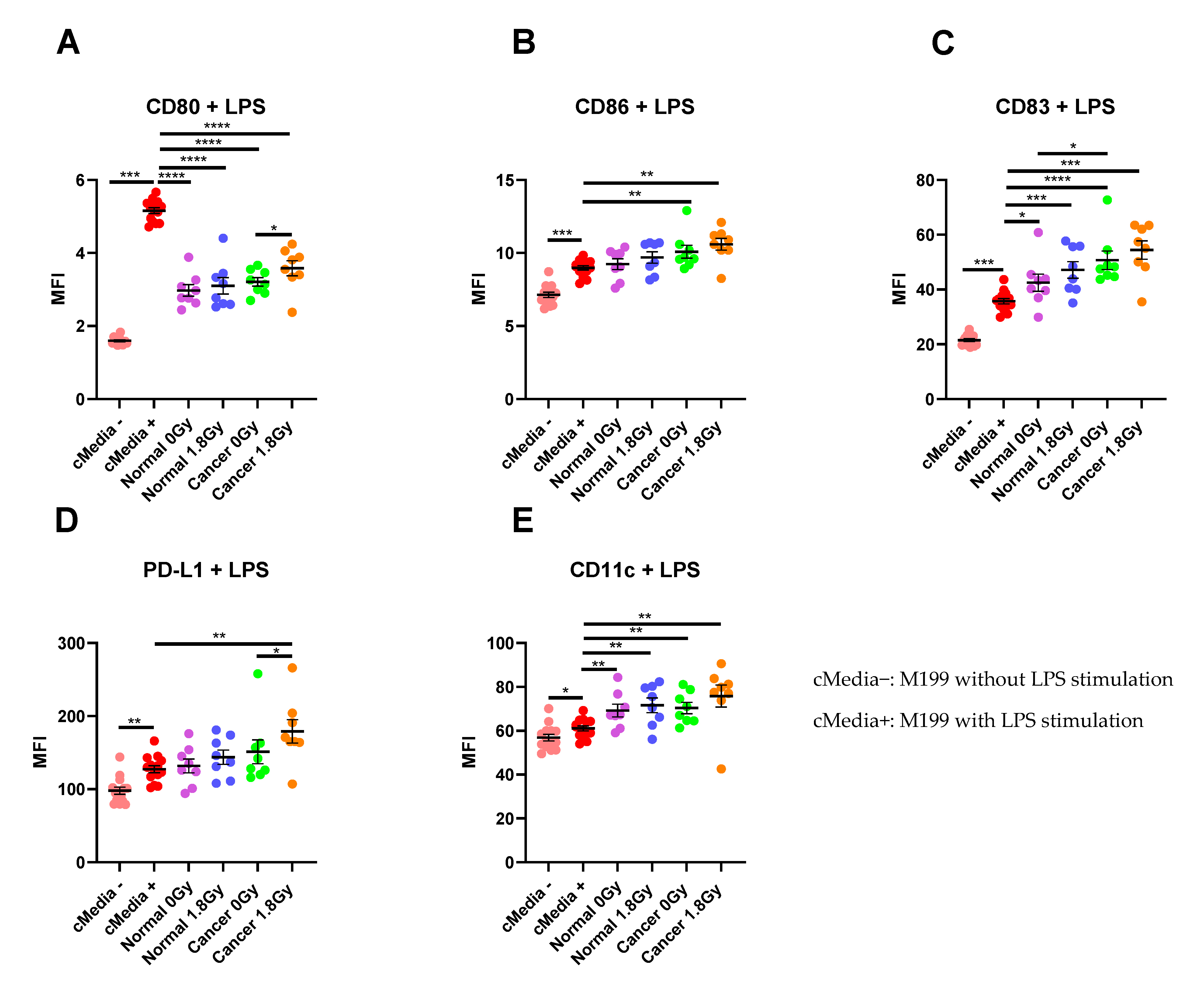 Cancers 13 00571 g005