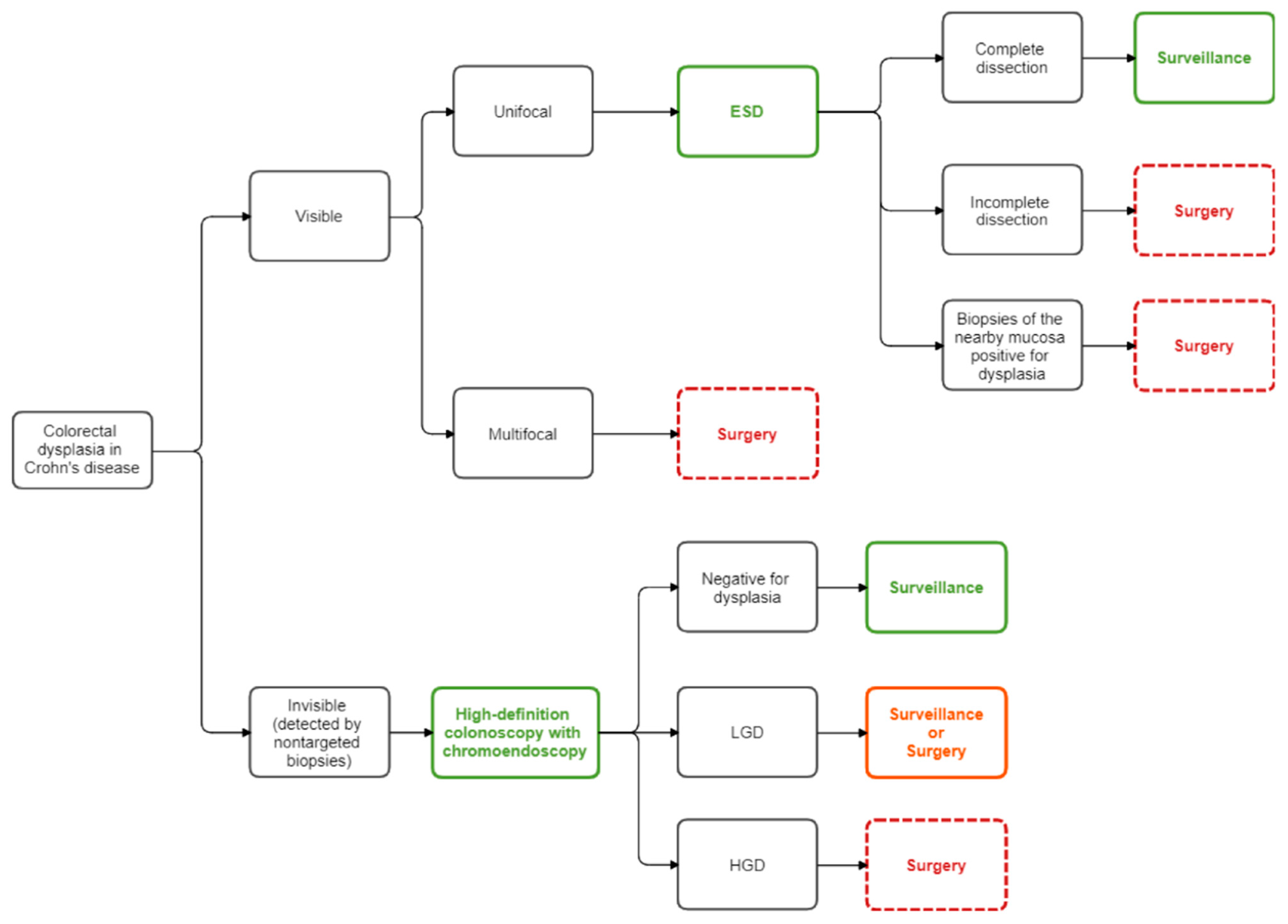 Cancers 13 00574 g004 Cancers 13 00574 g004