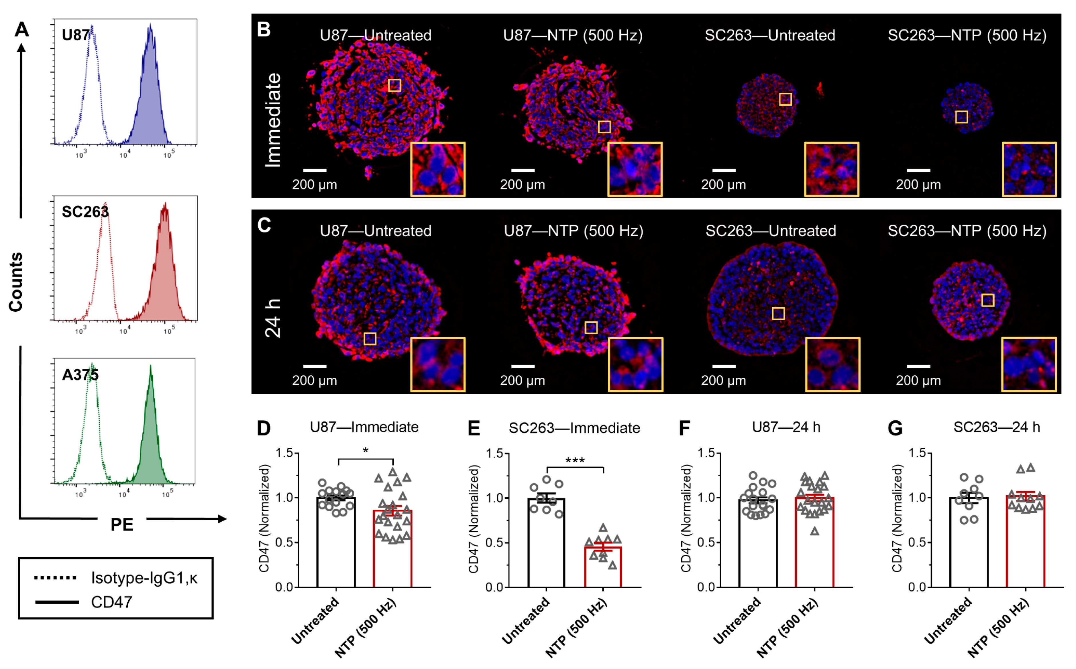 Cancers 13 00579 g001