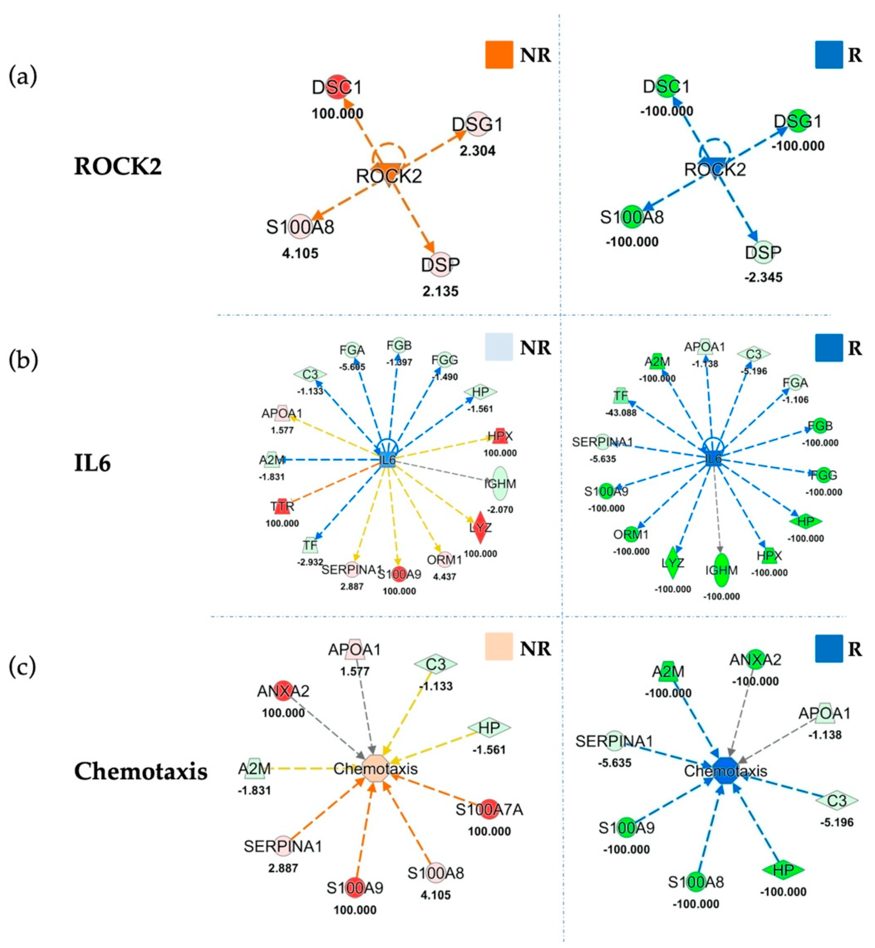 Cancers 13 00585 g005