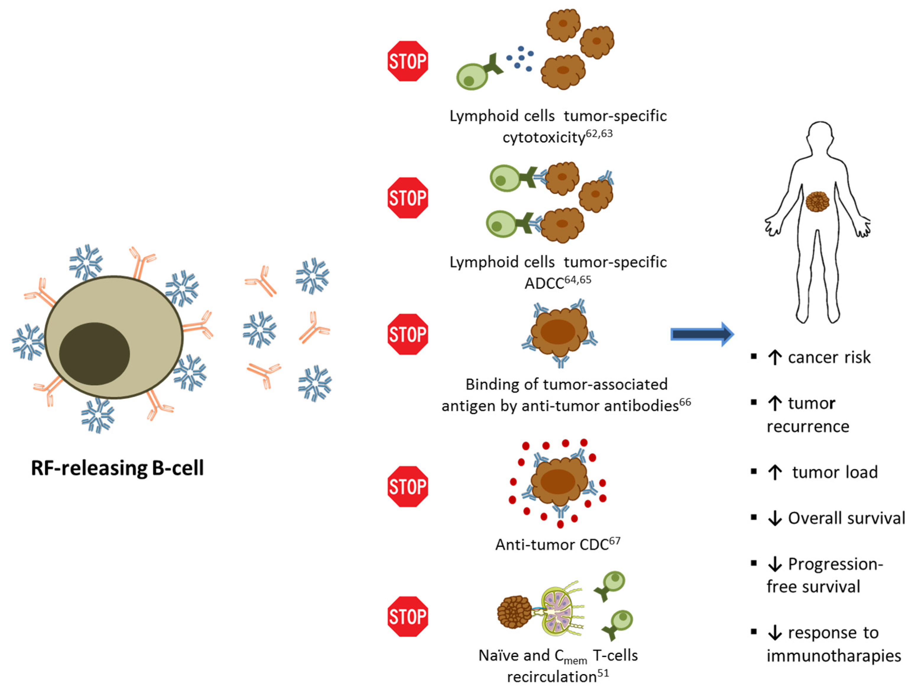 Cancers 13 00591 g002