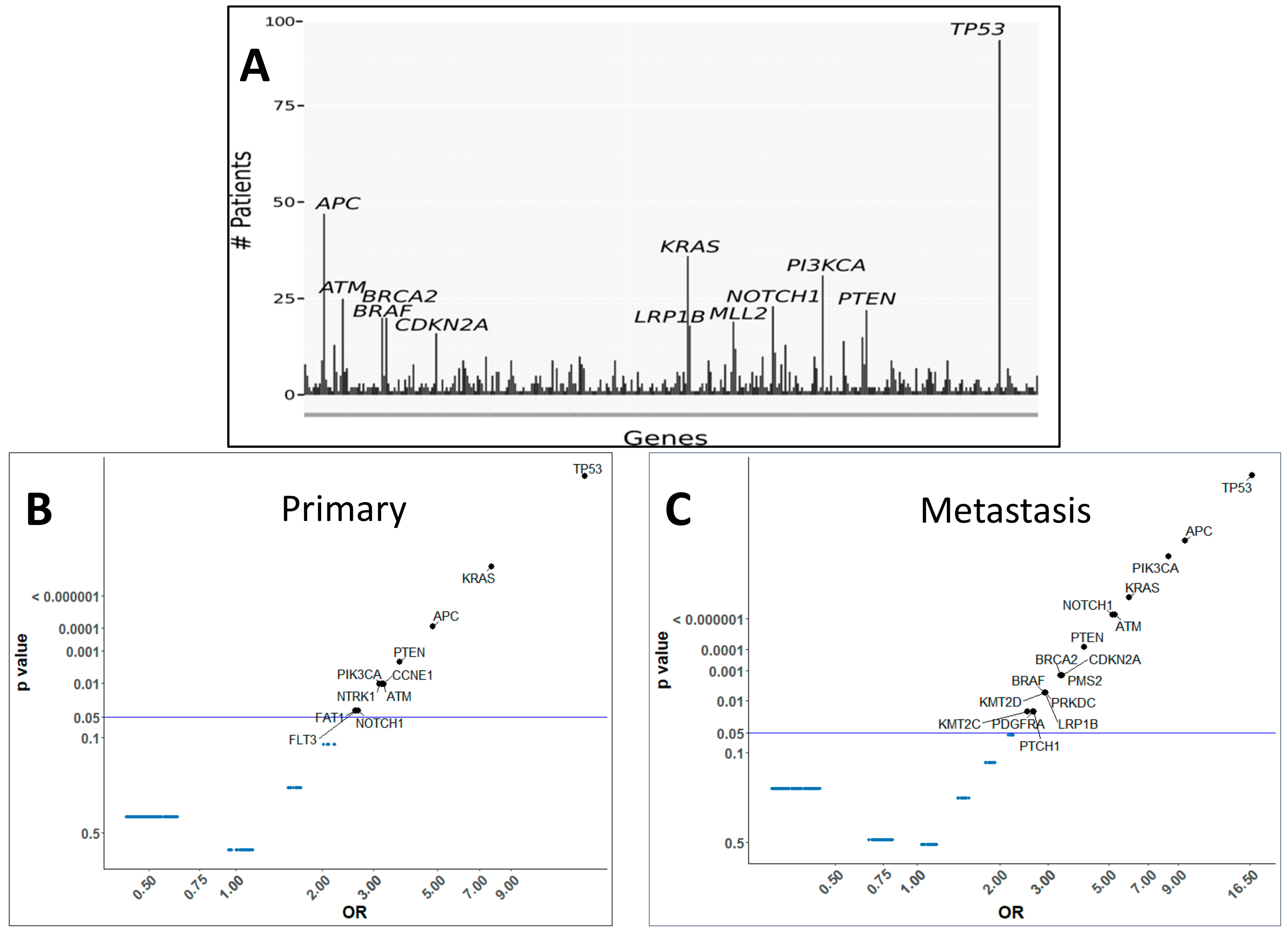 Cancers 13 00597 g001 Cancers 13 00597 g001