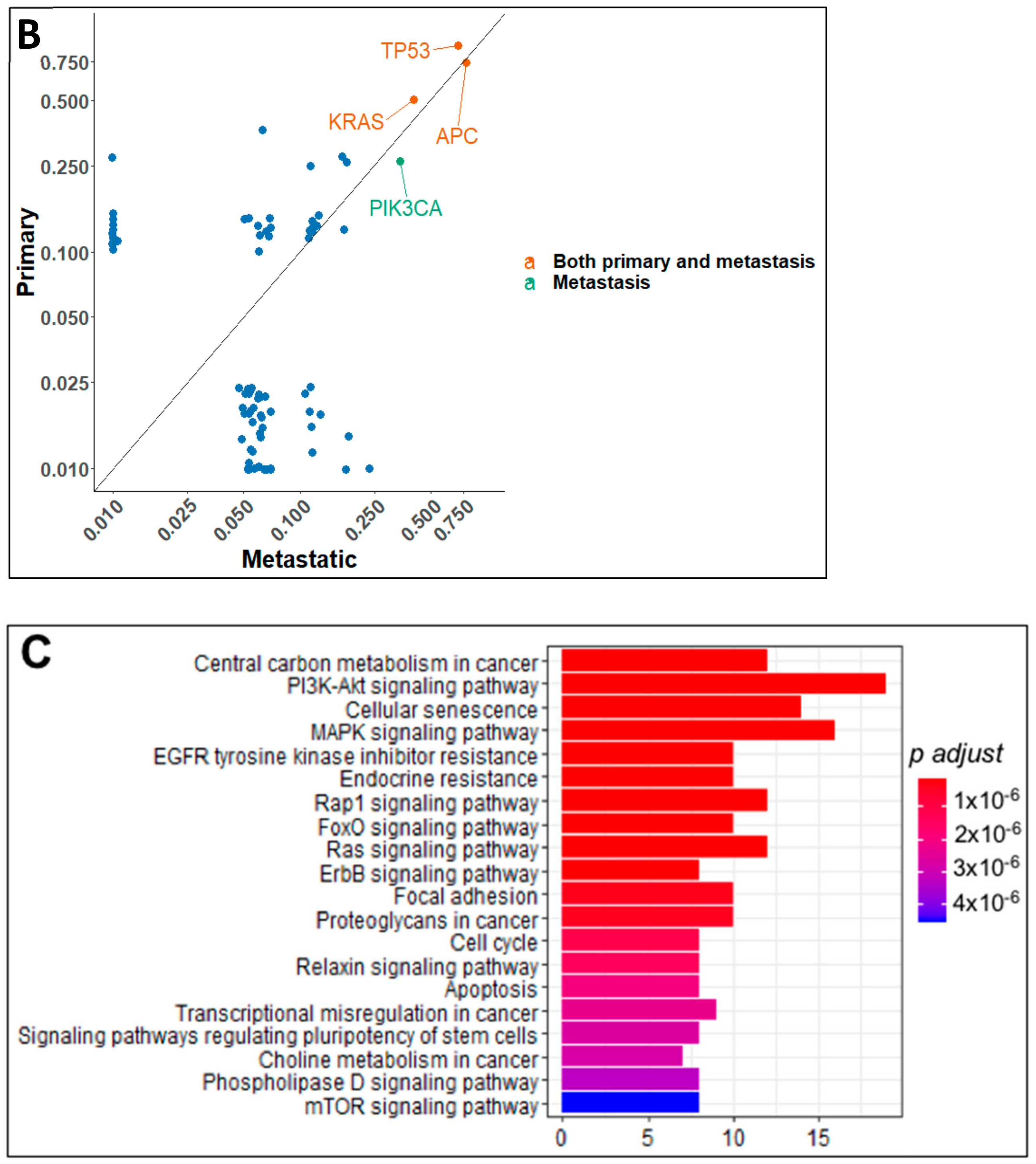 Cancers 13 00597 g004b Cancers 13 00597 g004b