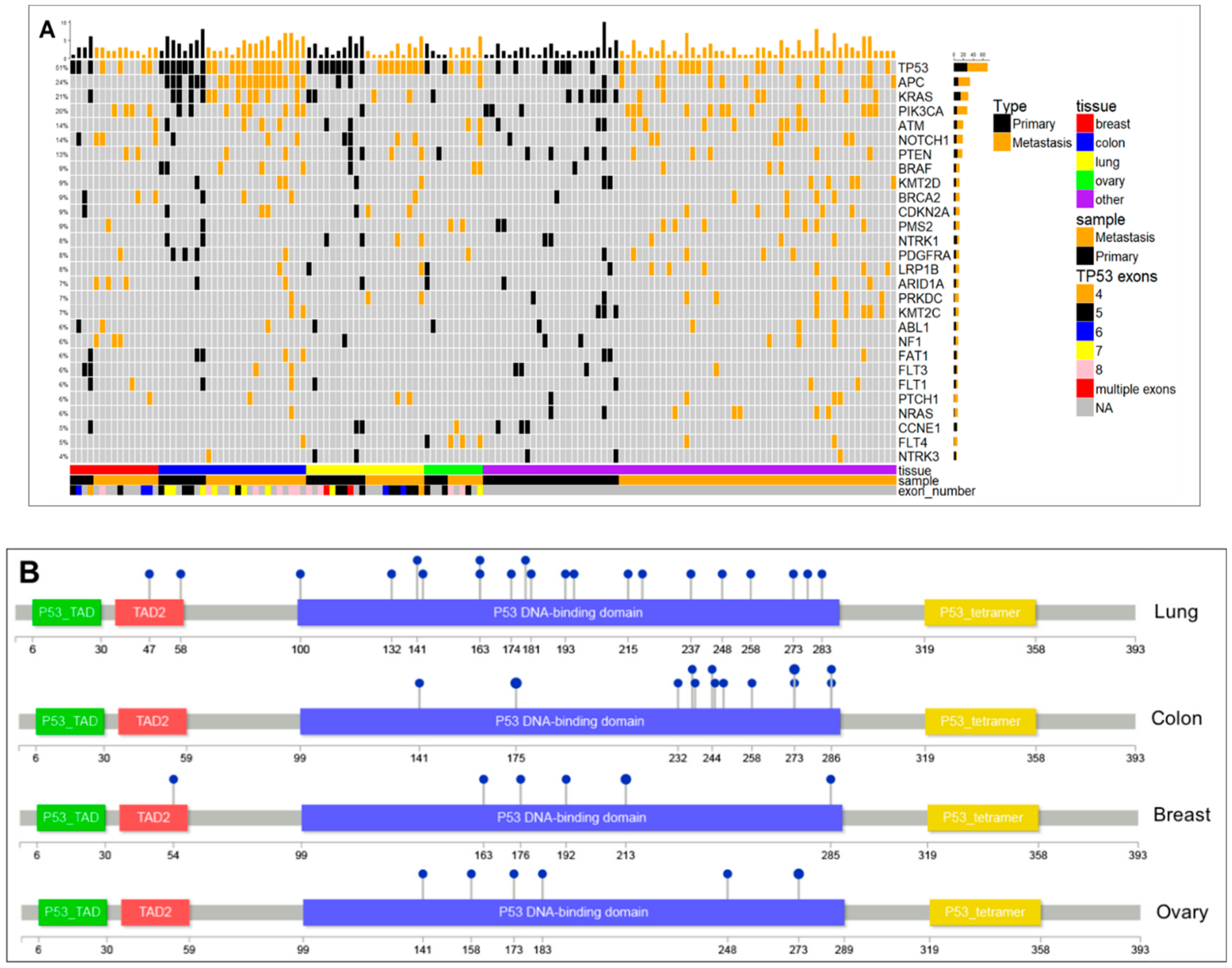 Cancers 13 00597 g005 Cancers 13 00597 g005