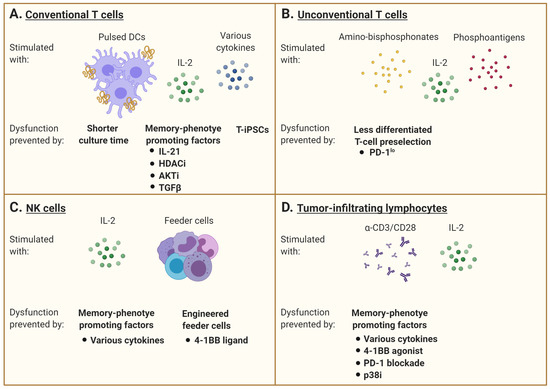 Cancers 13 00598 g002 550