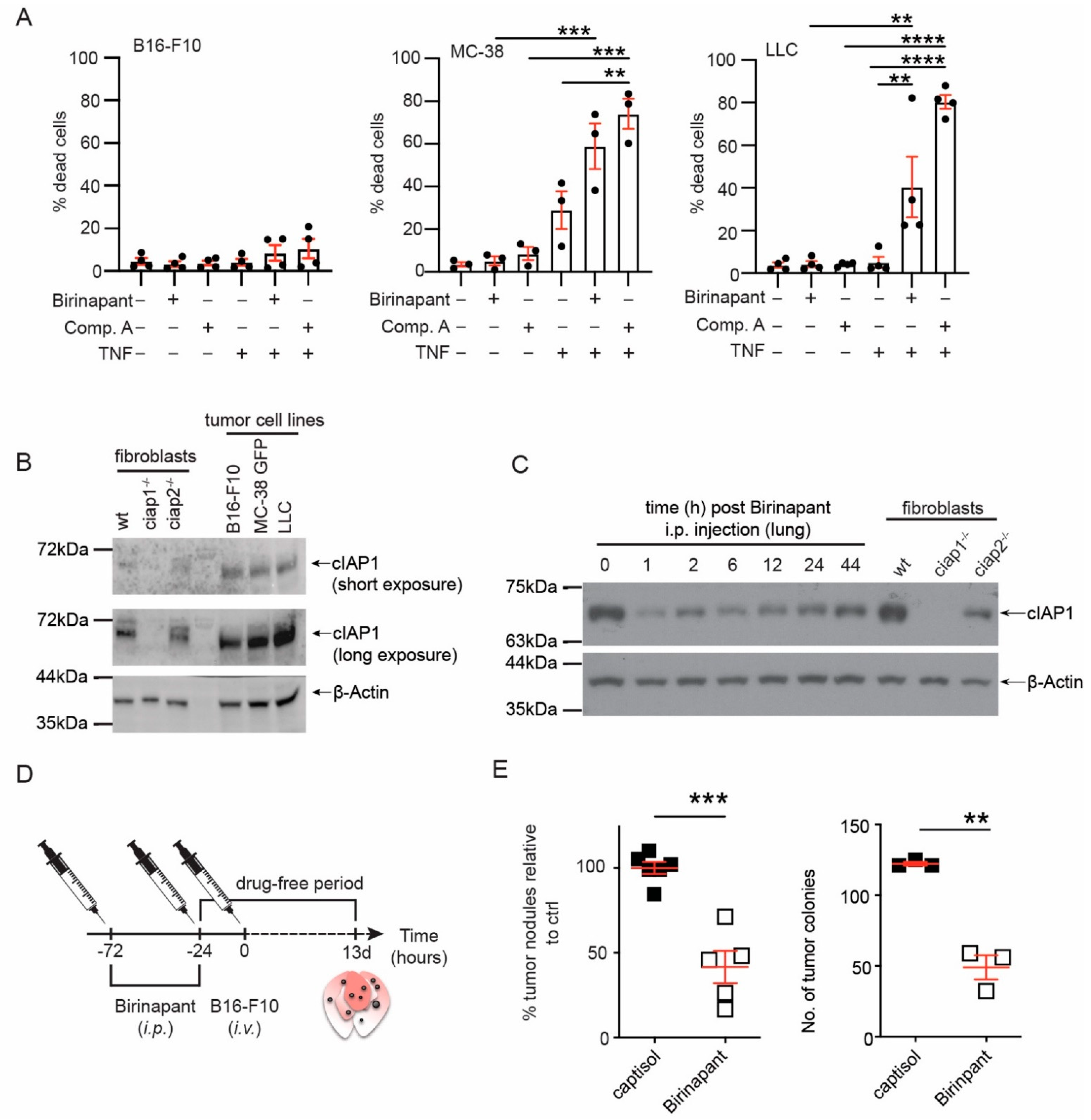 Cancers 13 00599 g001 Cancers 13 00599 g001
