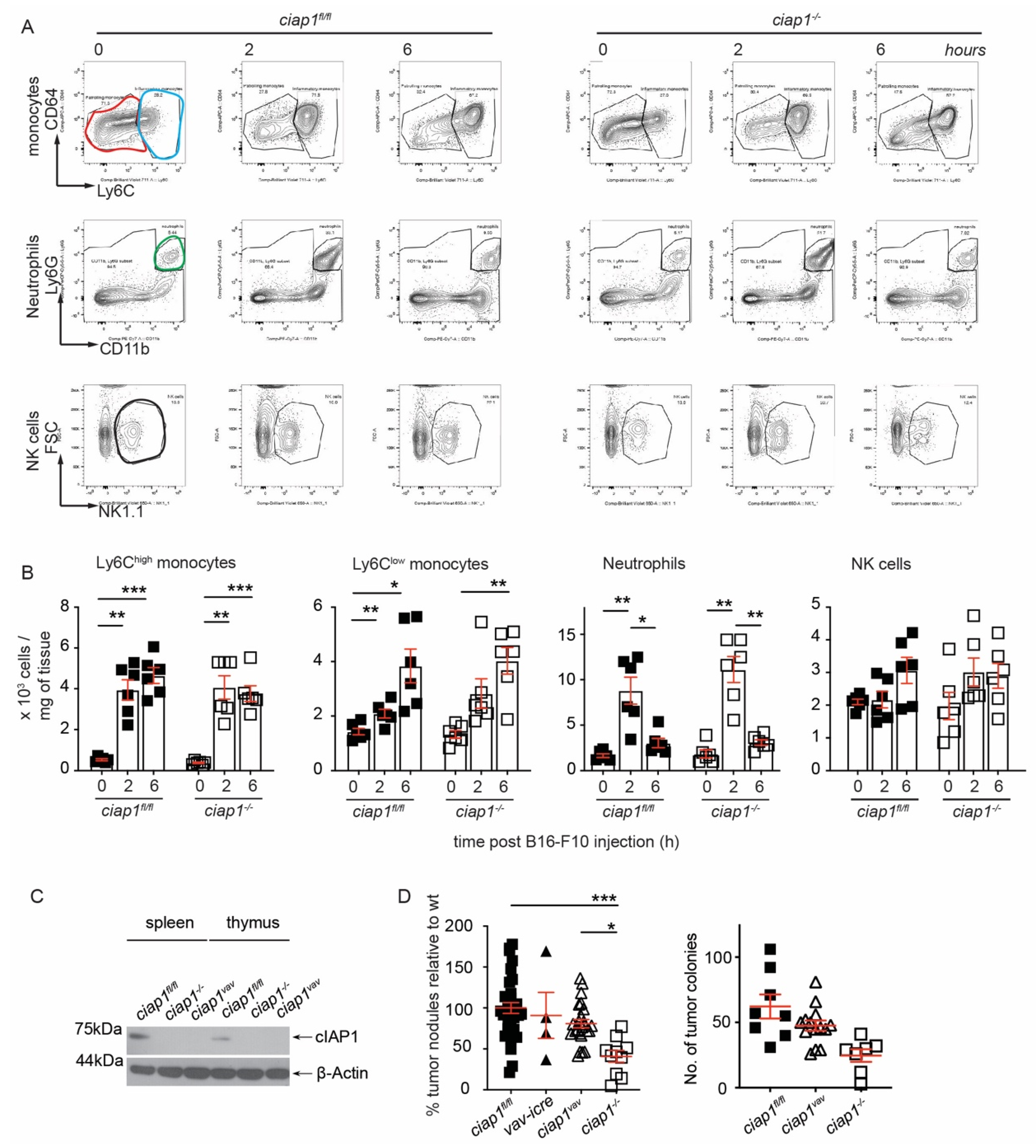 Cancers 13 00599 g003 Cancers 13 00599 g003