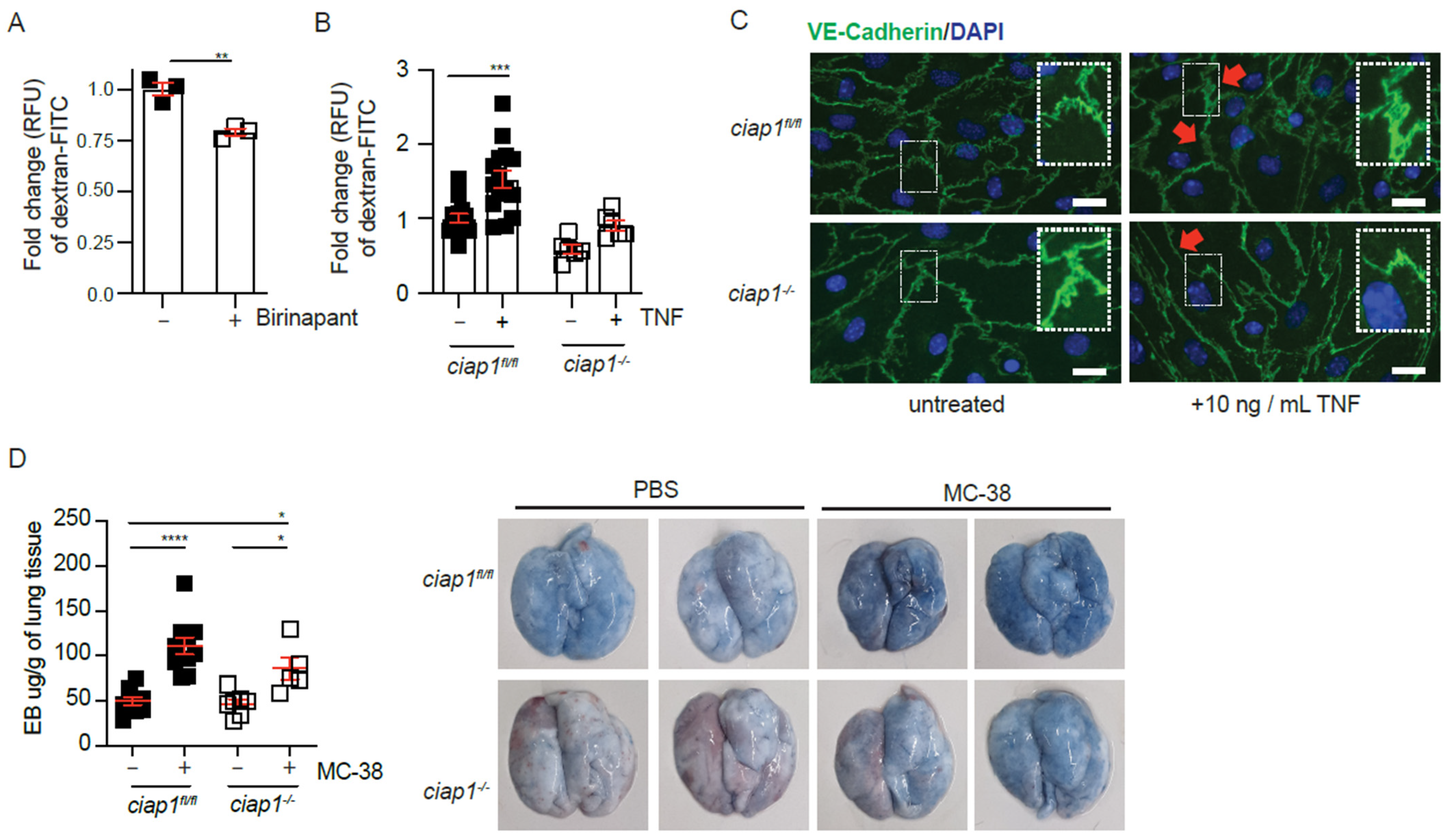 Cancers 13 00599 g005 Cancers 13 00599 g005