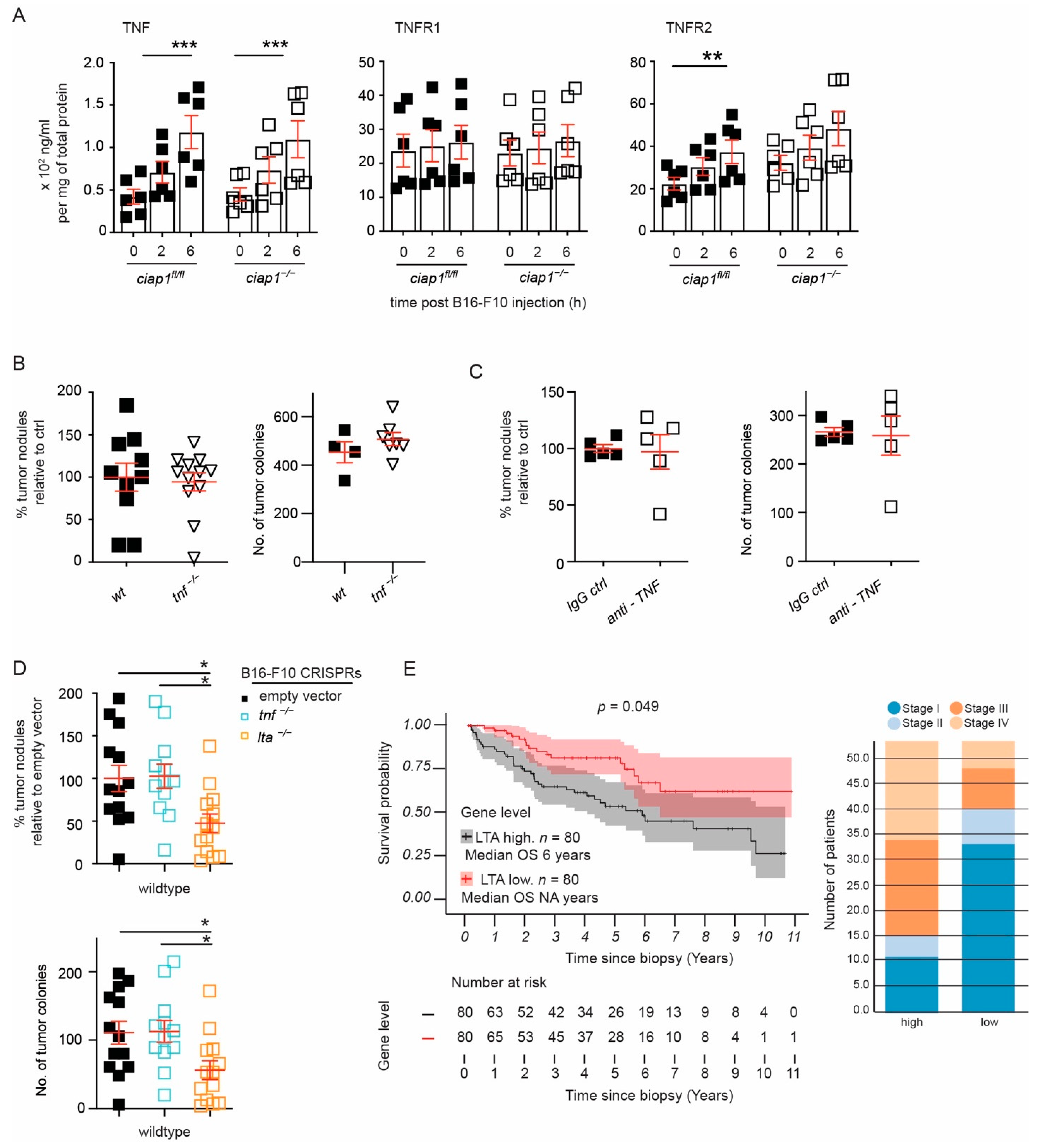 Cancers 13 00599 g006 Cancers 13 00599 g006