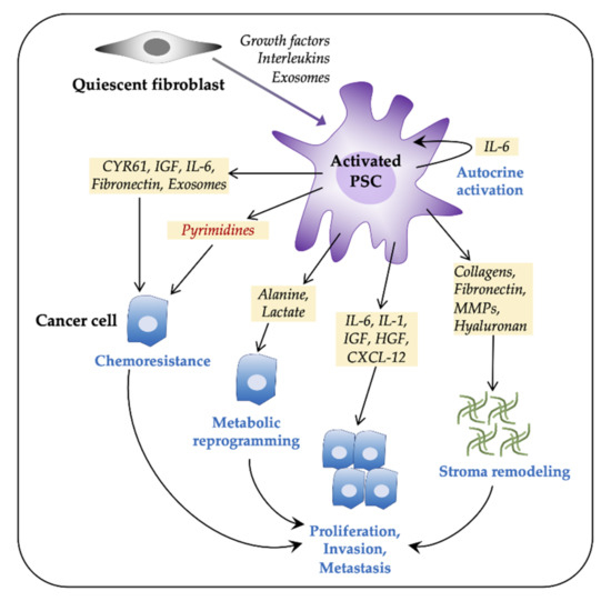 Cancers 13 00601 g001 550