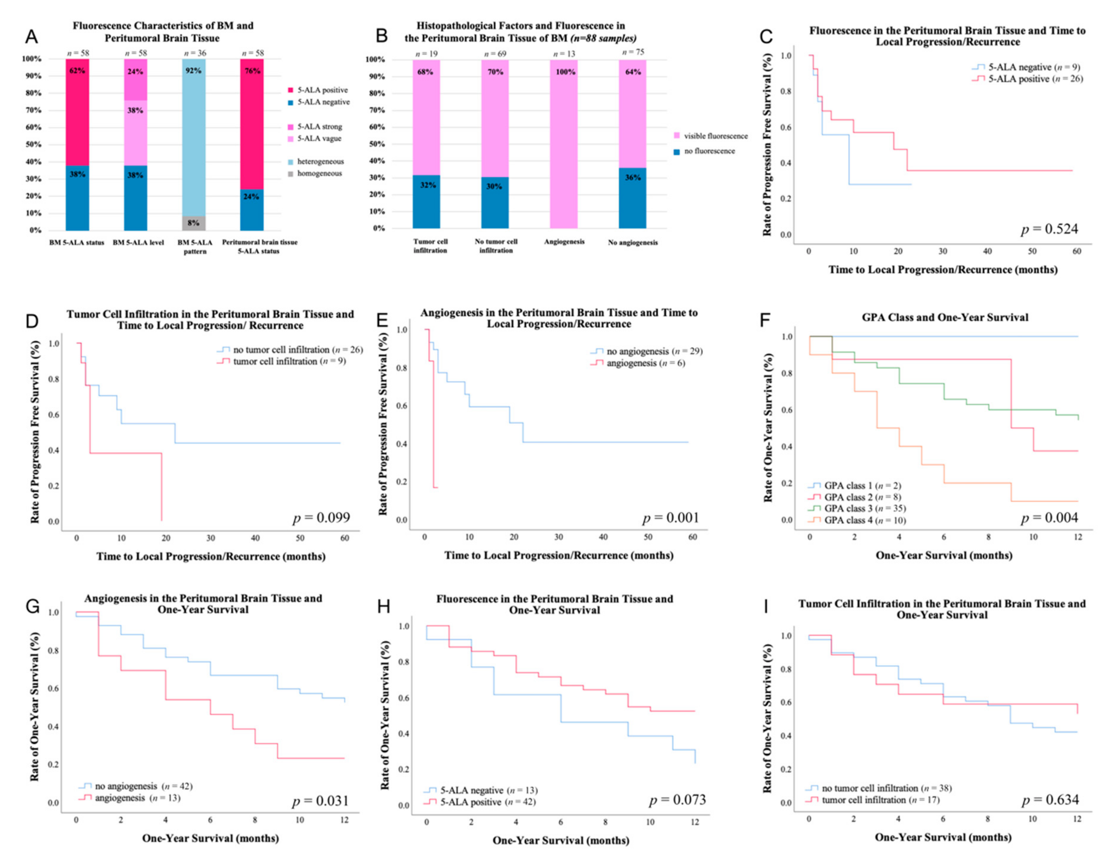 Cancers 13 00603 g001 Cancers 13 00603 g001