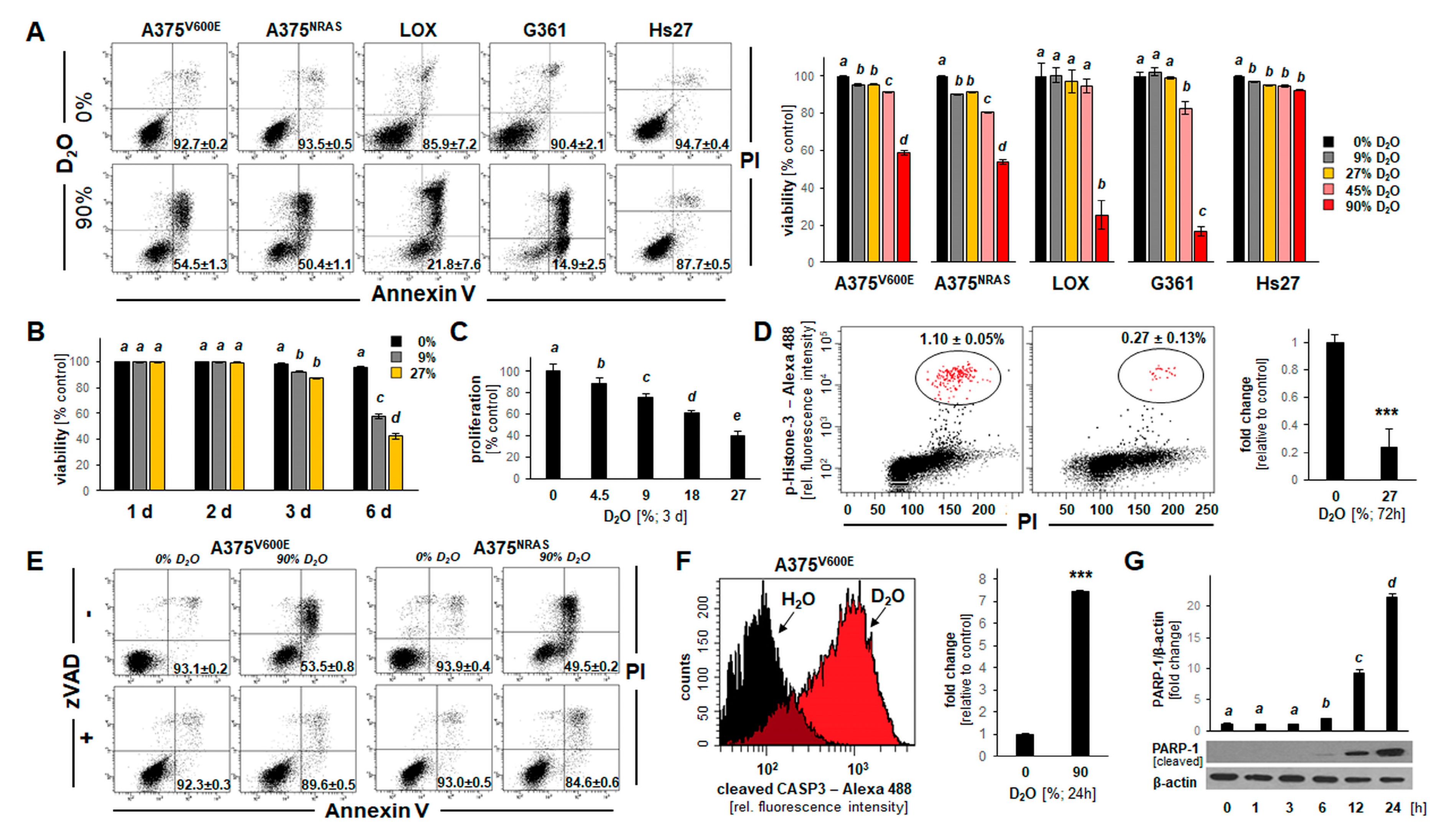 Cancers 13 00605 g001 Cancers 13 00605 g001