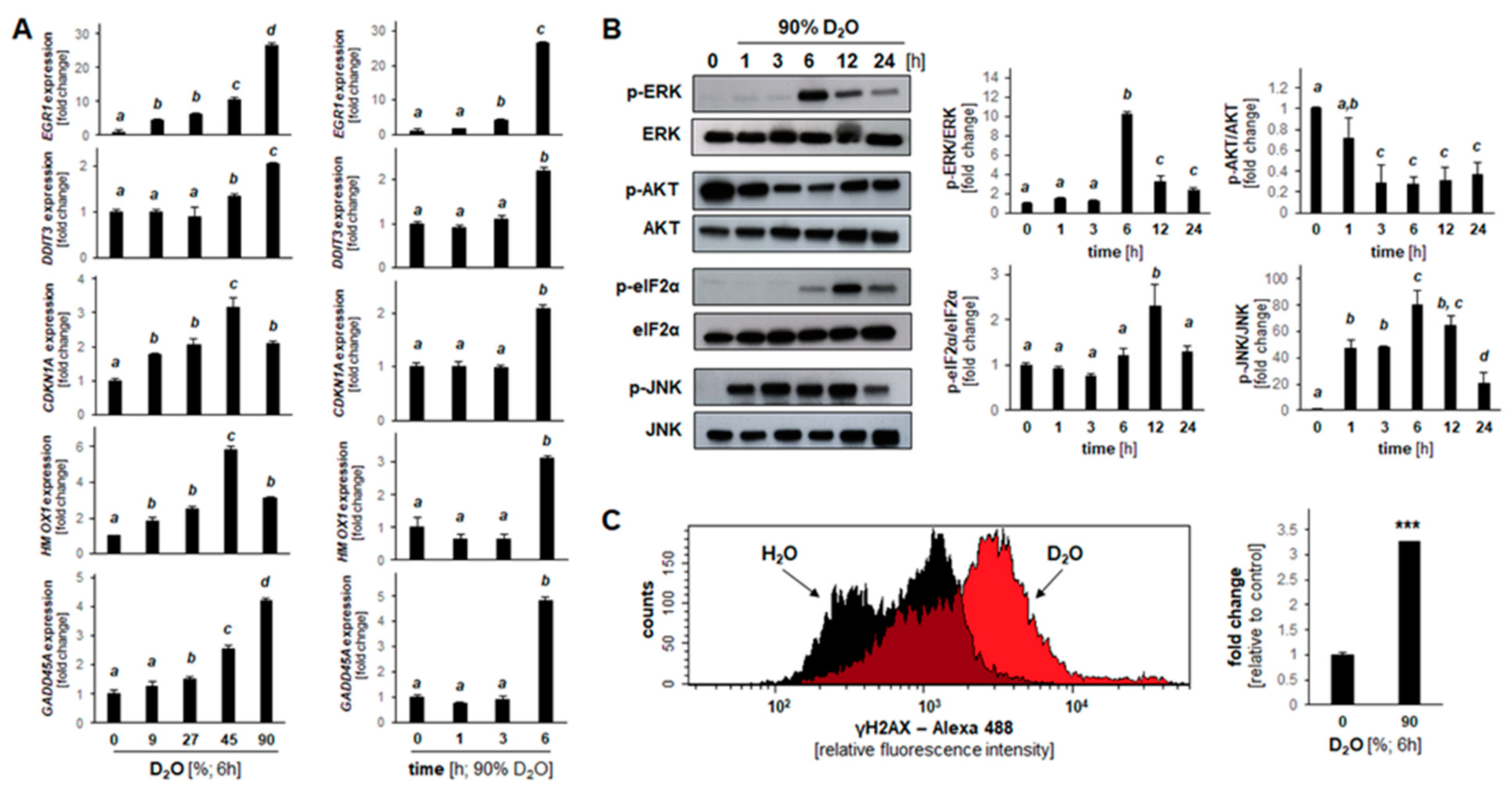 Cancers 13 00605 g004 Cancers 13 00605 g004